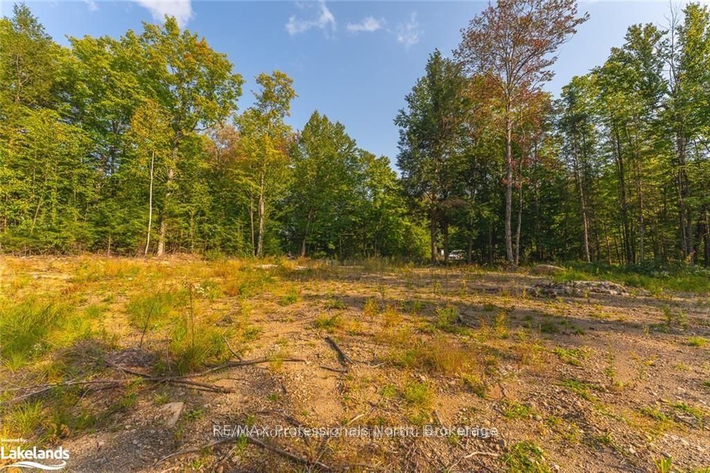 1205 Little Hawk Lake Road Property Photo 14