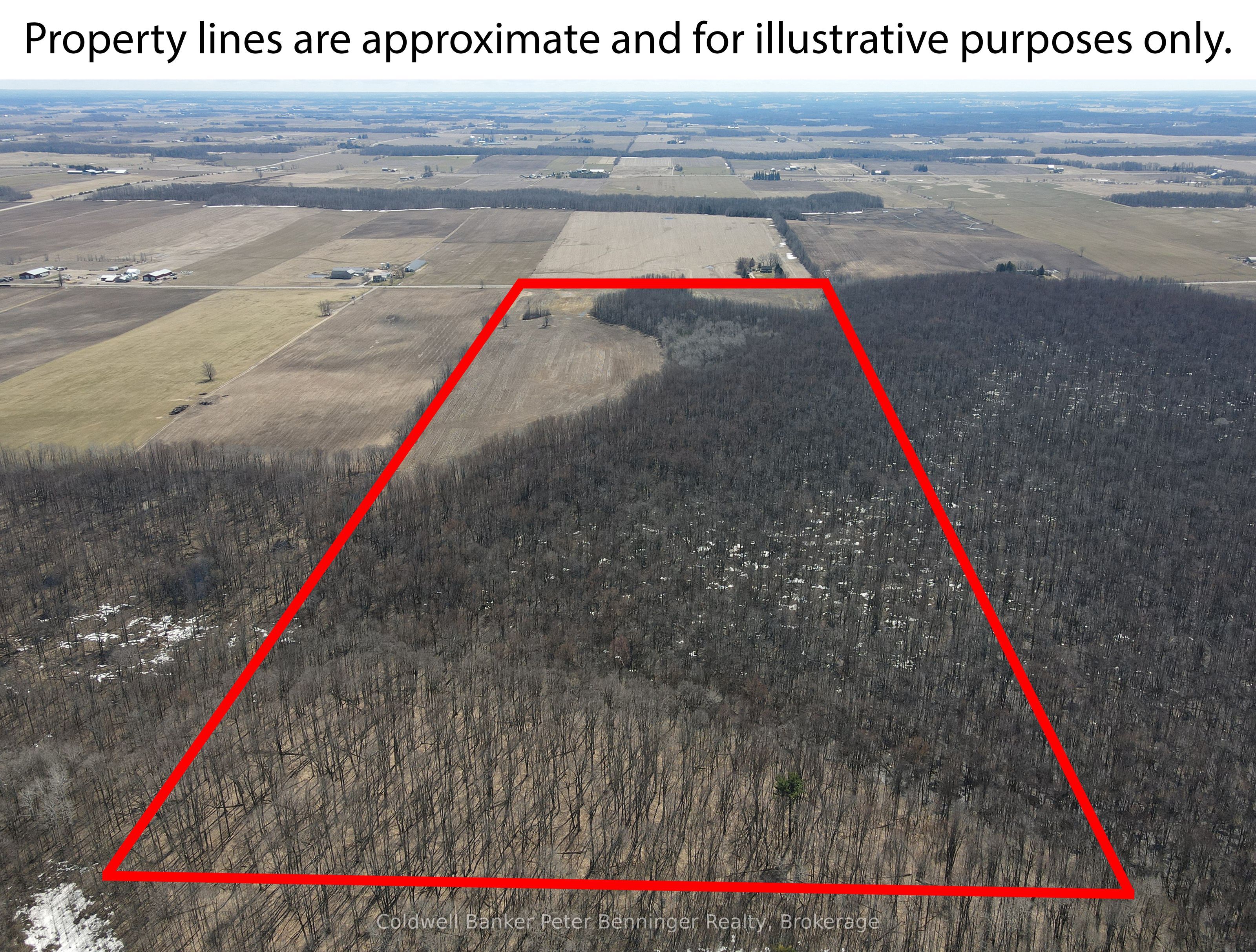 Lot 12 7 Concession Property Photo 5