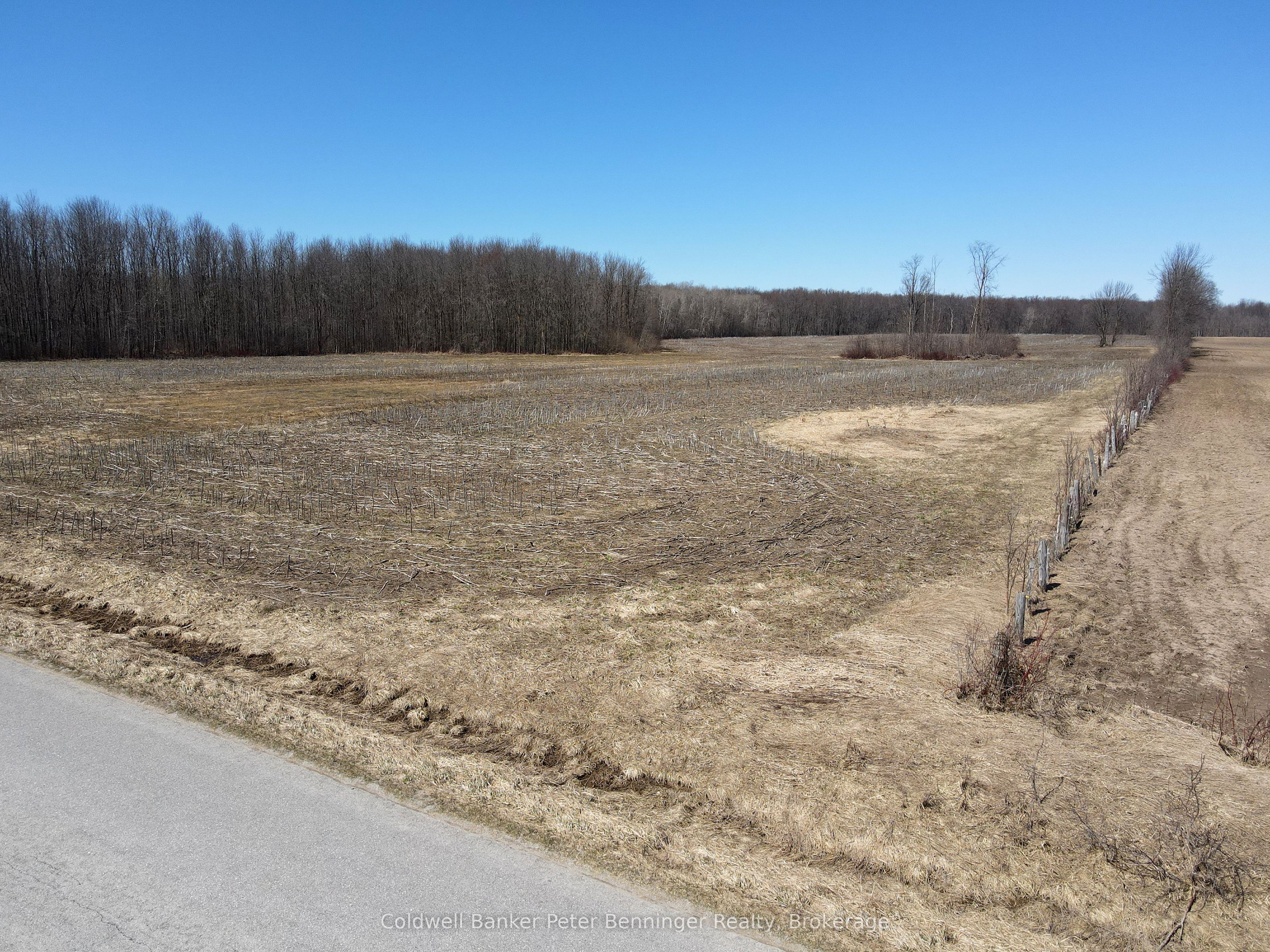 Lot 12 7 Concession Property Photo 6
