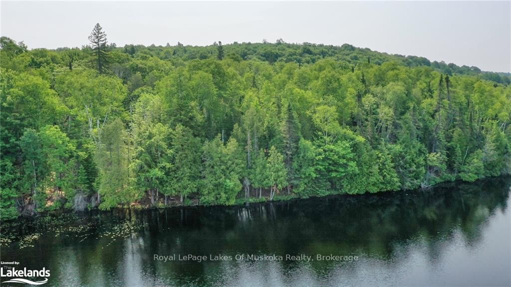 0 Balsam Drive Property Photo 2