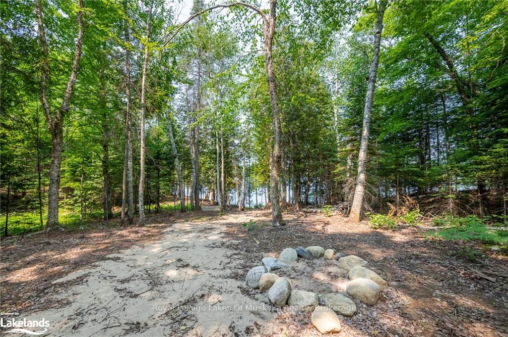 0 Balsam Drive Property Photo 3
