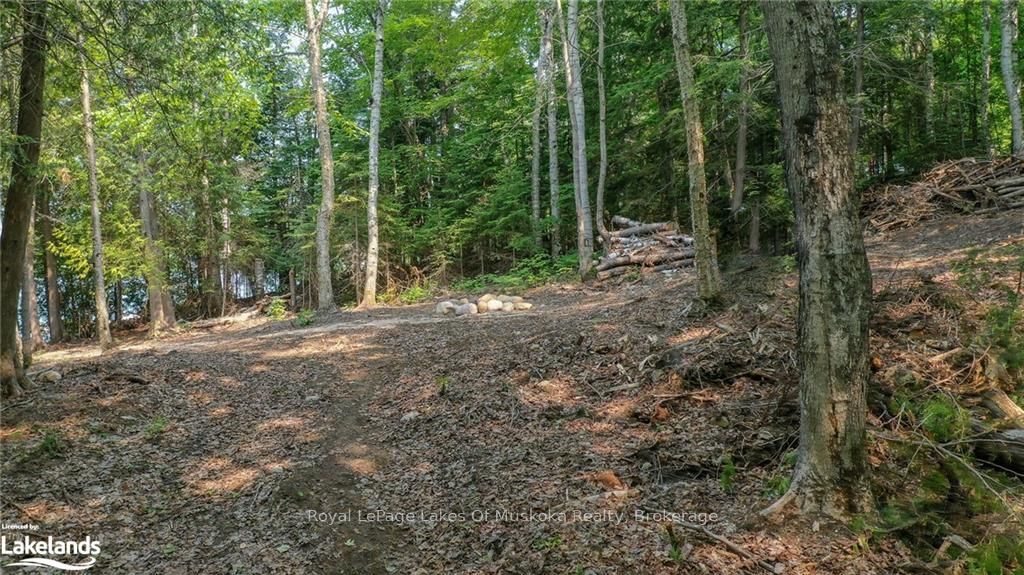 0 Balsam Drive Property Photo 12