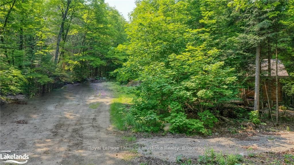 0 Balsam Drive Property Photo 15
