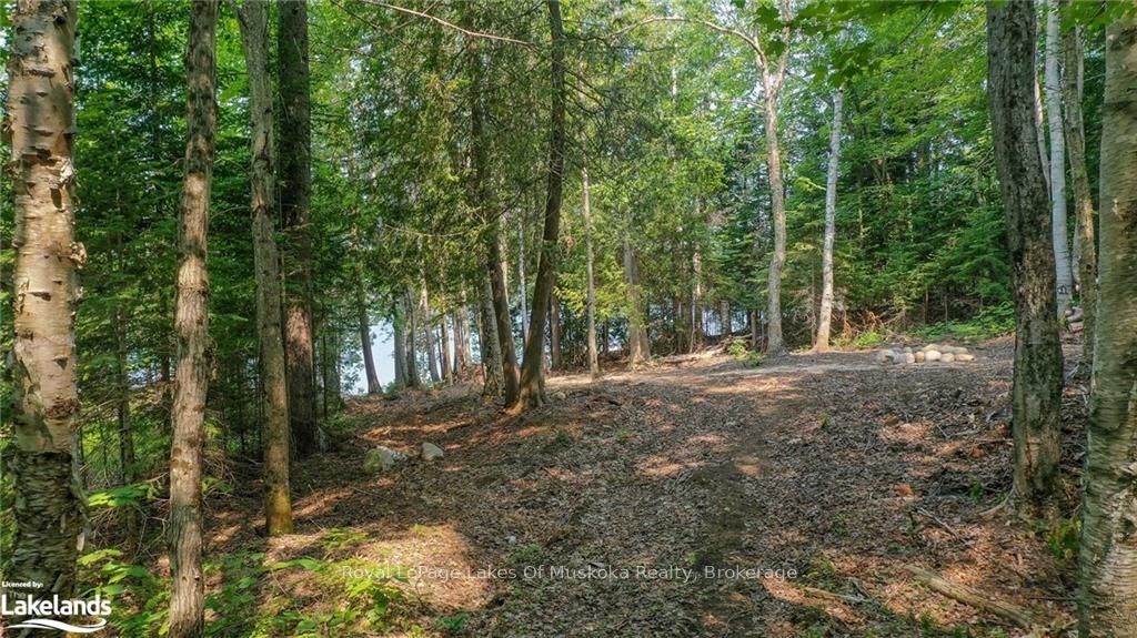 0 Balsam Drive Property Photo 16