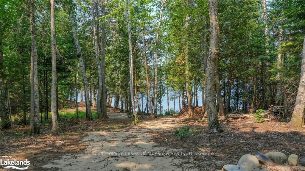 0 Balsam Drive Property Photo 17
