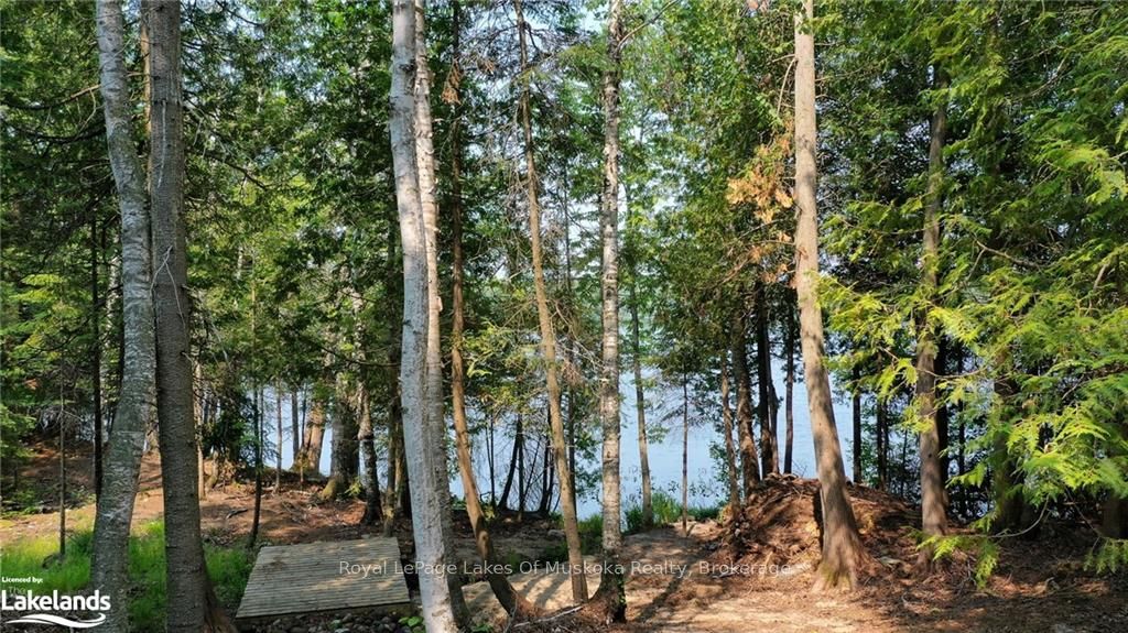 0 Balsam Drive Property Photo 18