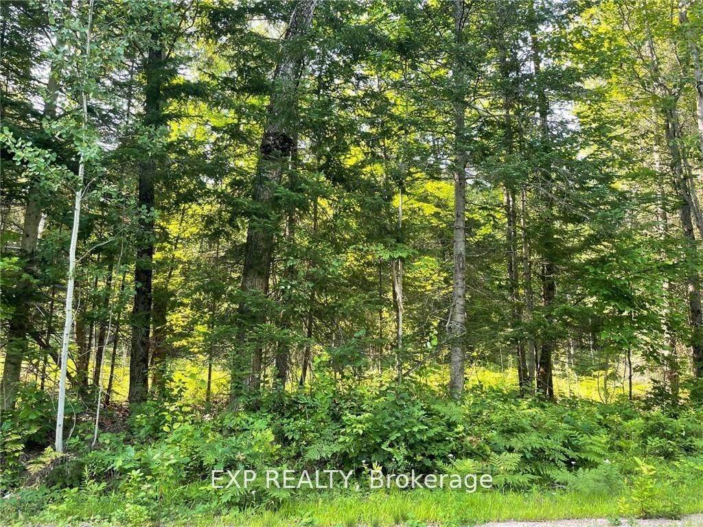 Lot B Chippawa Road Property Photo