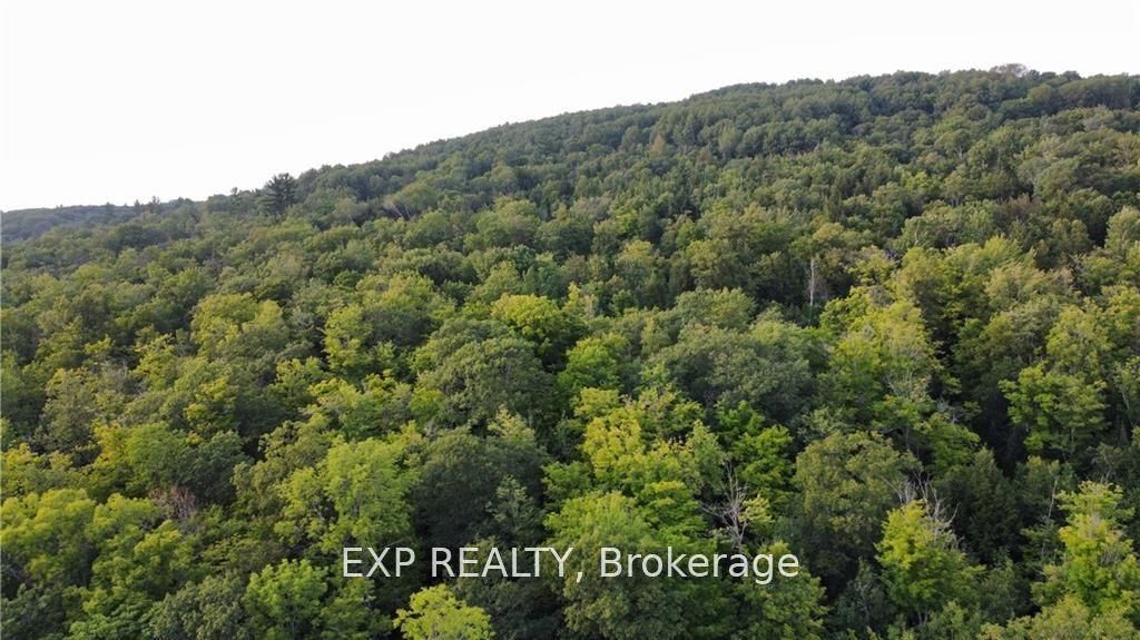 Lot B Chippawa Road Property Photo 22