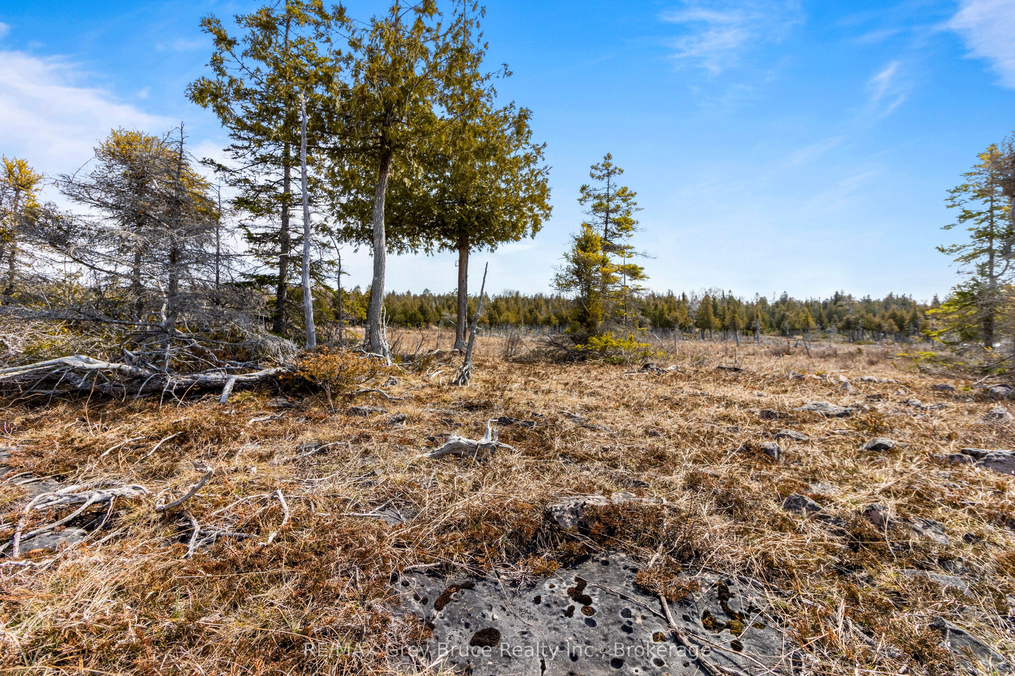 Lot 242 Pedwell Drive Property Photo 3