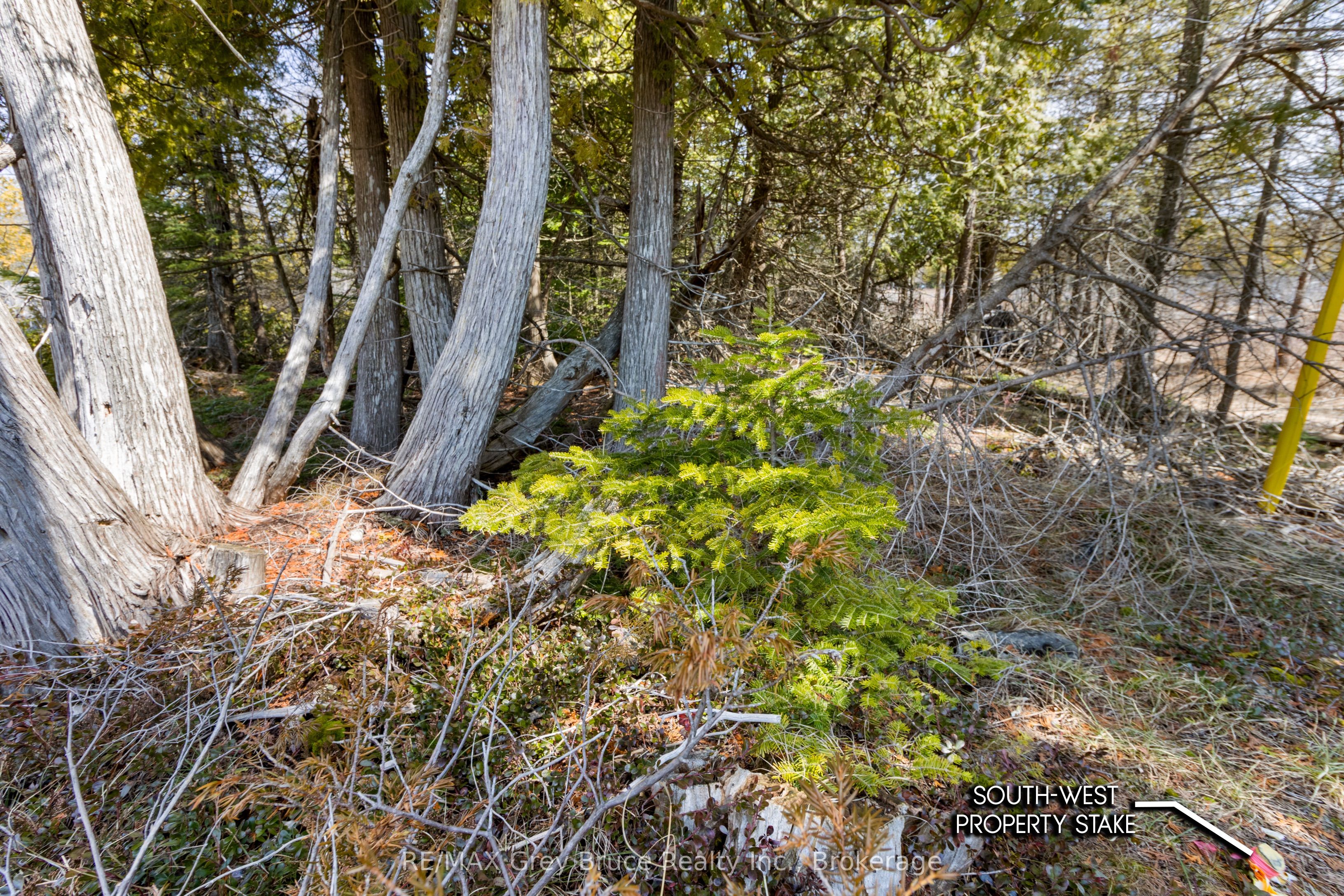 Lot 242 Pedwell Drive Property Photo 13