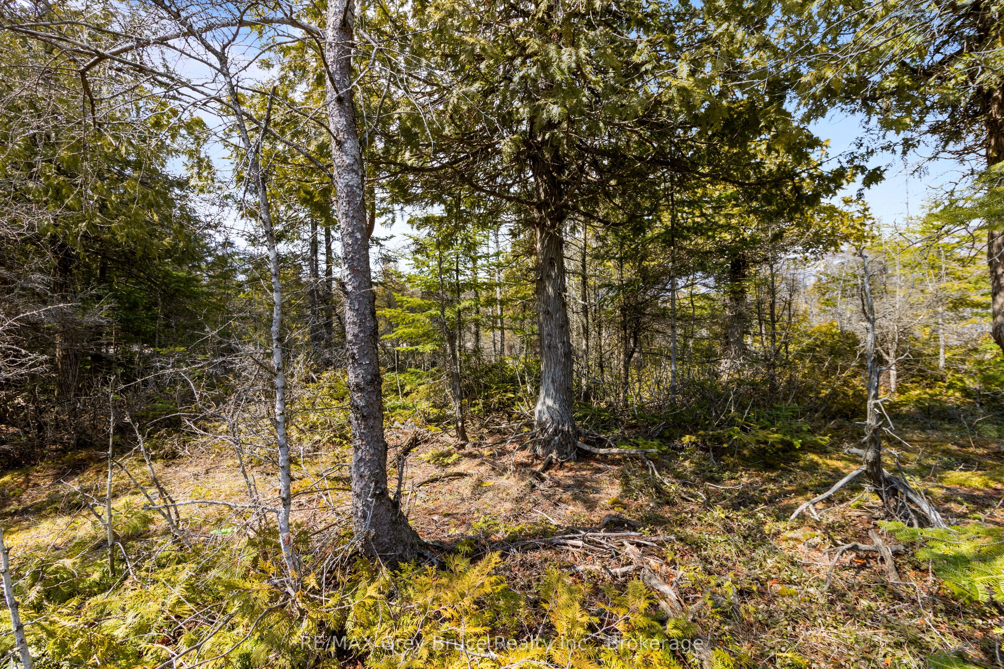 Lot 242 Pedwell Drive Property Photo 31