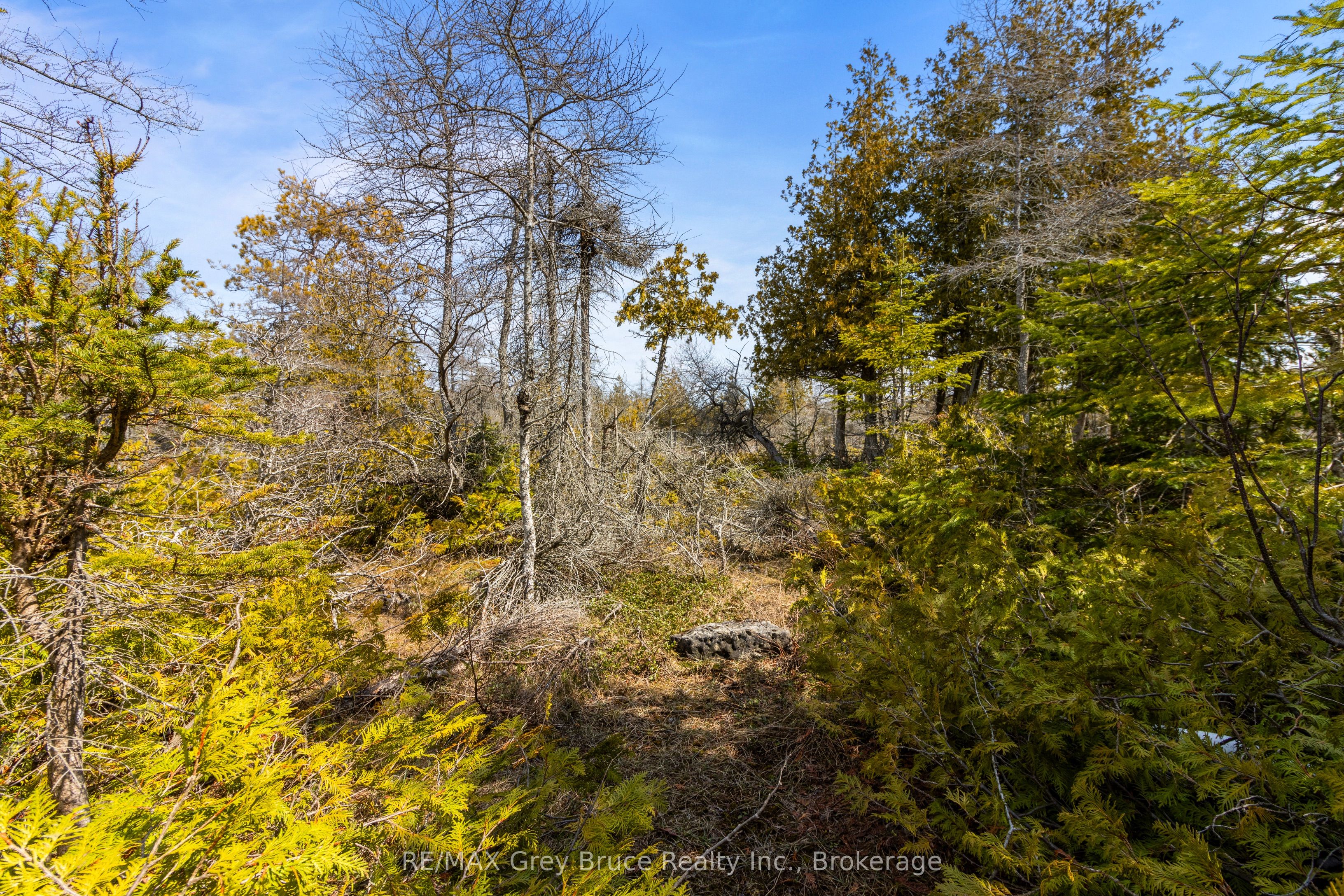 Lot 242 Pedwell Drive Property Photo 34
