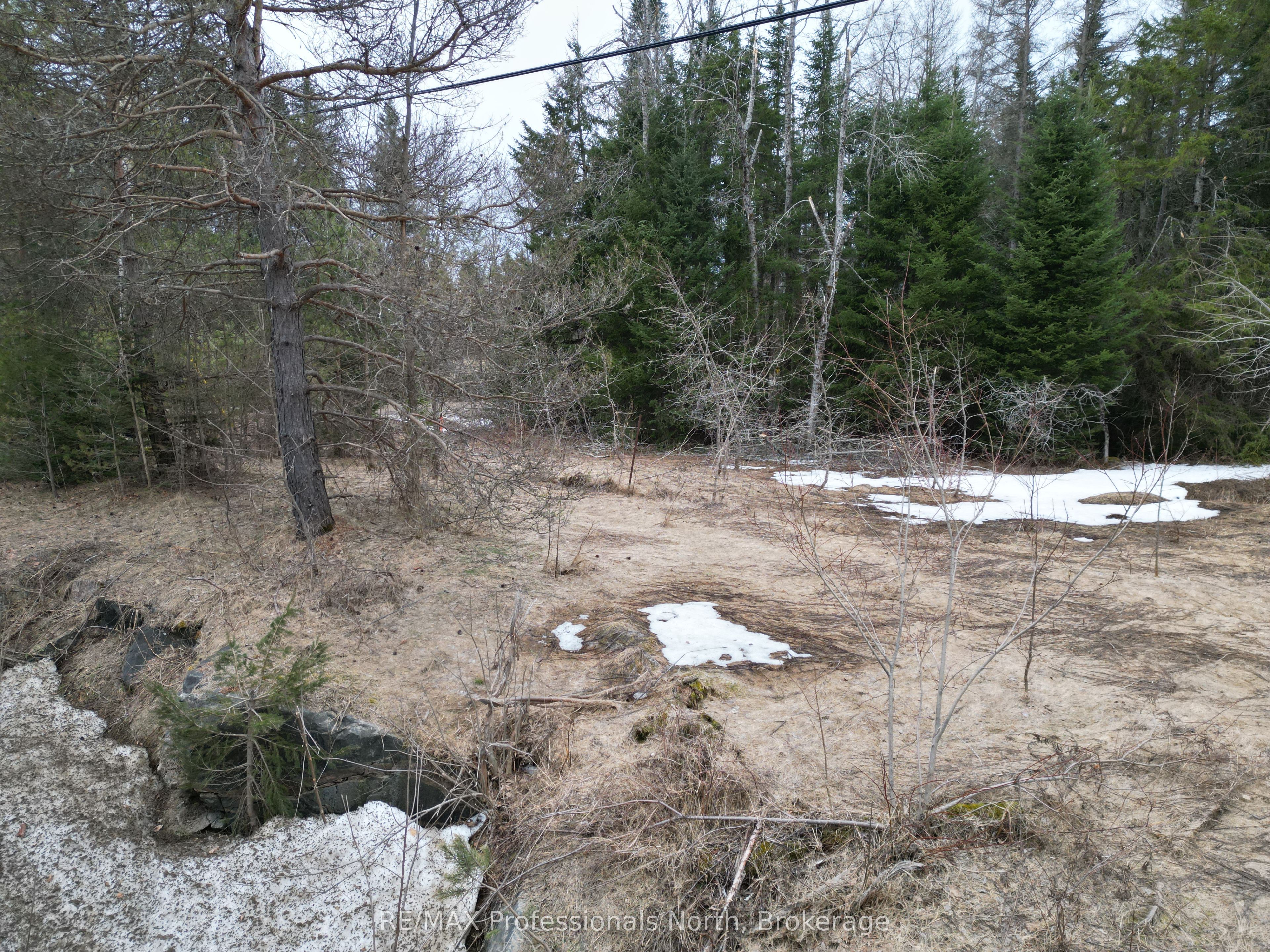 3025 Gelert Rd Property Photo 4