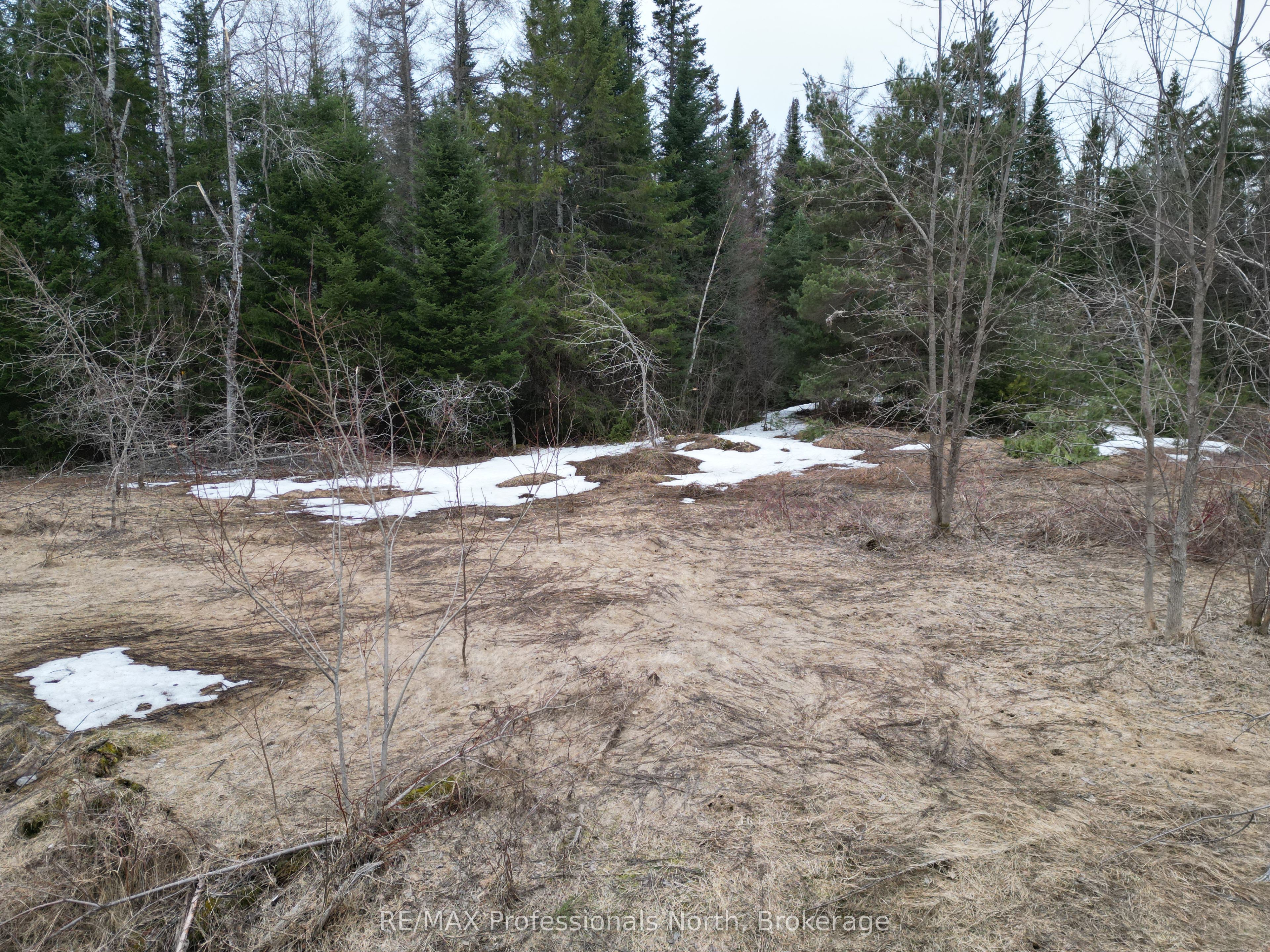 3025 Gelert Rd Property Photo 5
