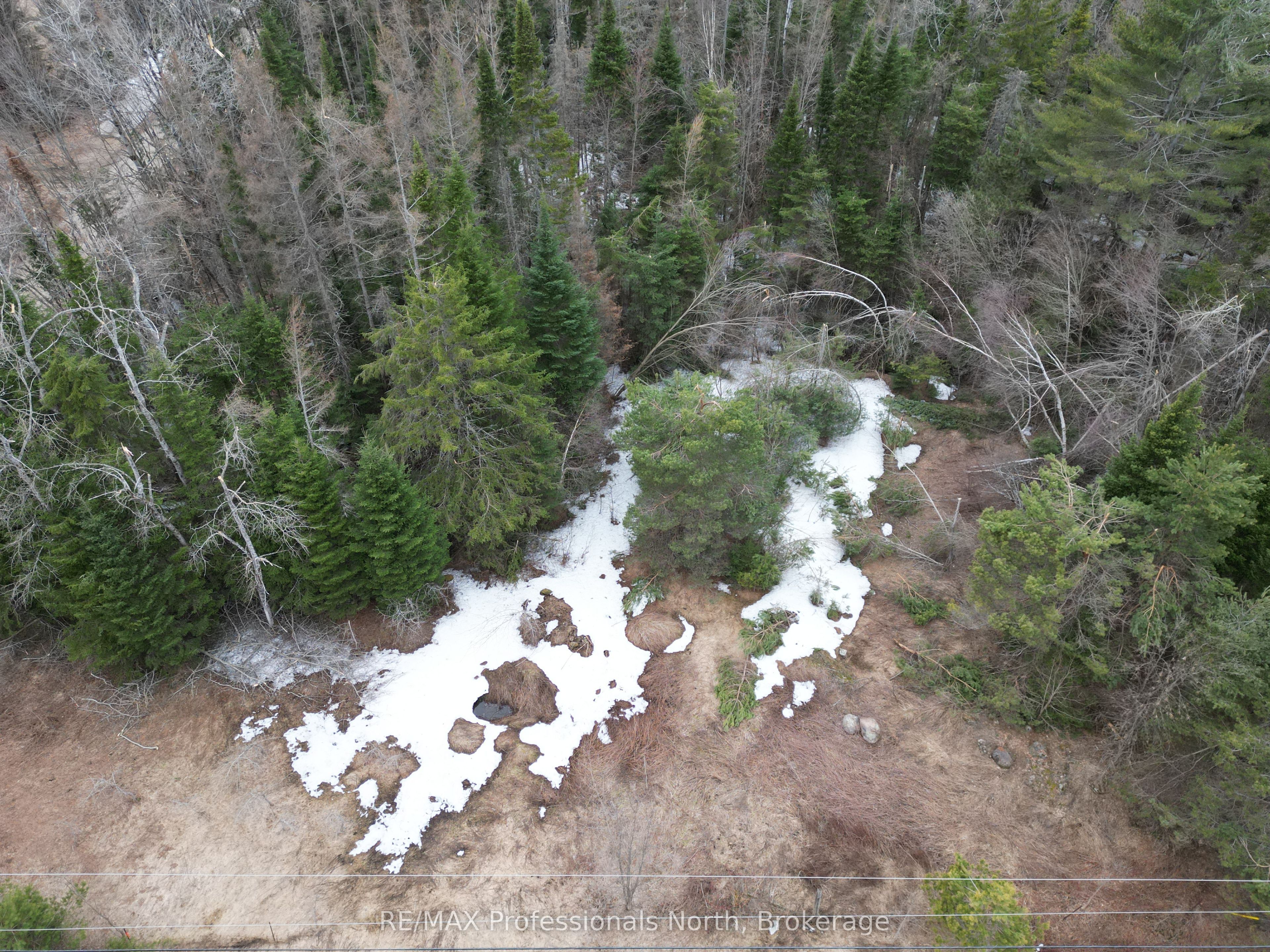 3025 Gelert Rd Property Photo 7