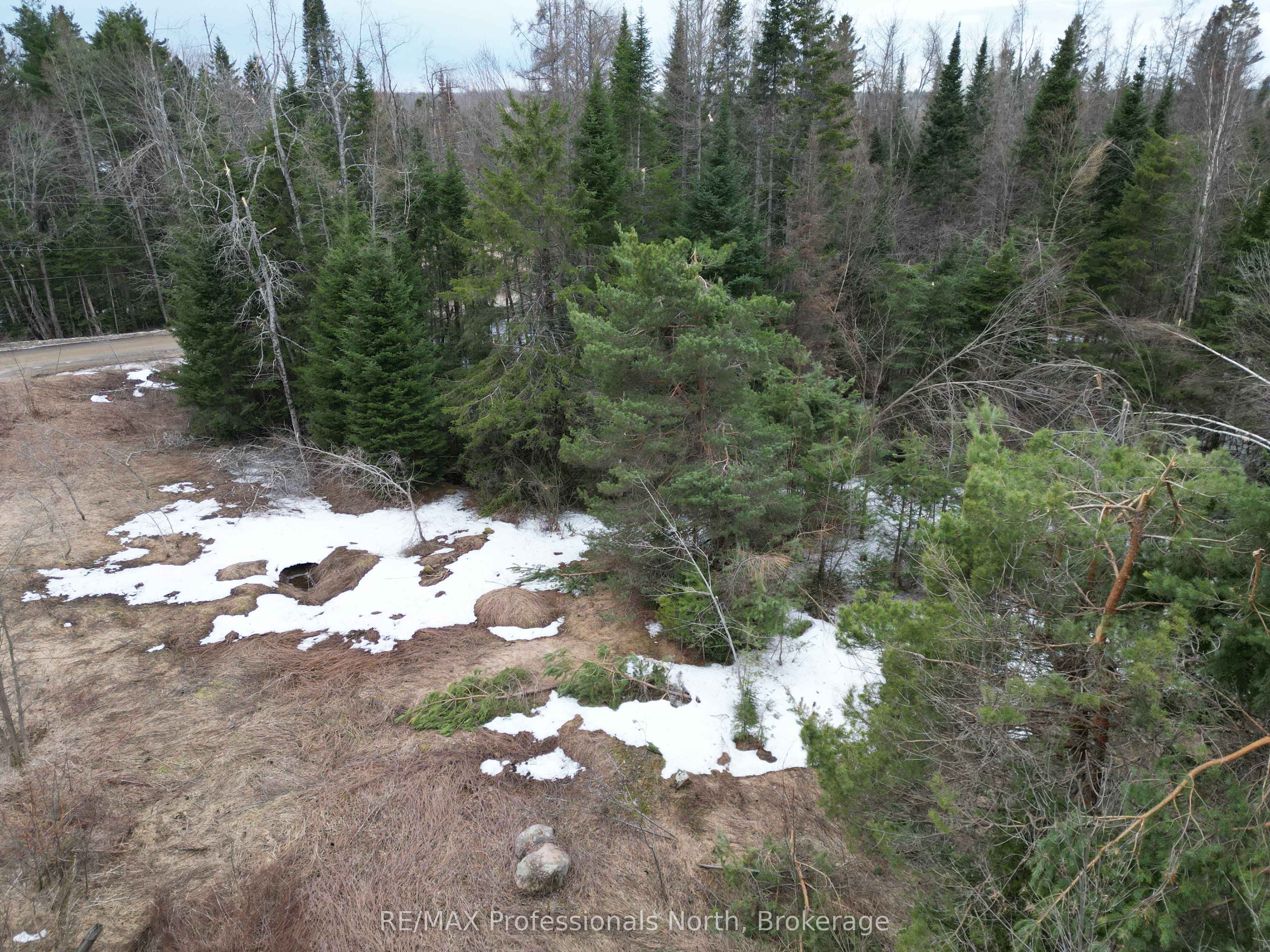 3025 Gelert Rd Property Photo 8