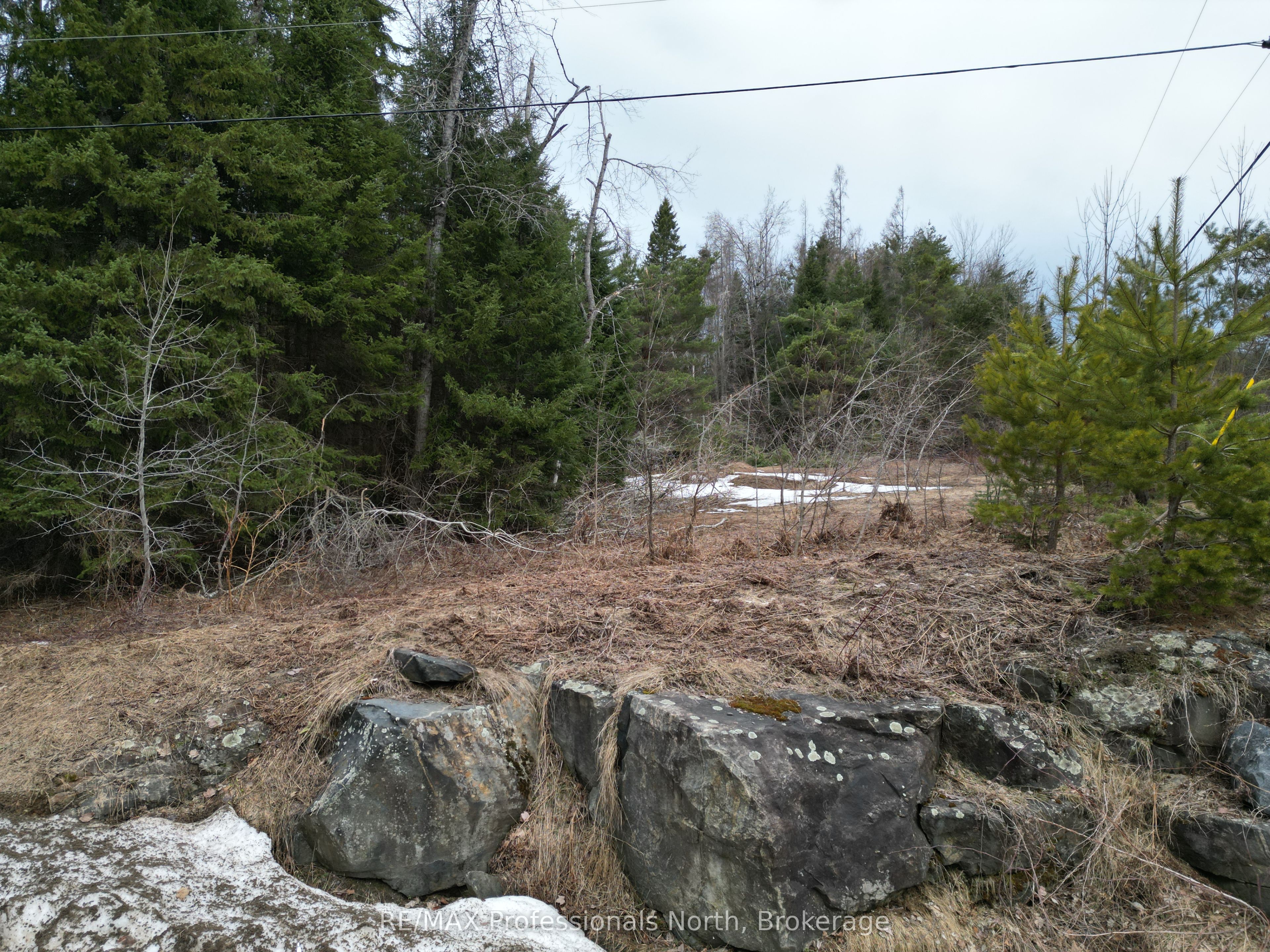 3025 Gelert Rd Property Photo 11
