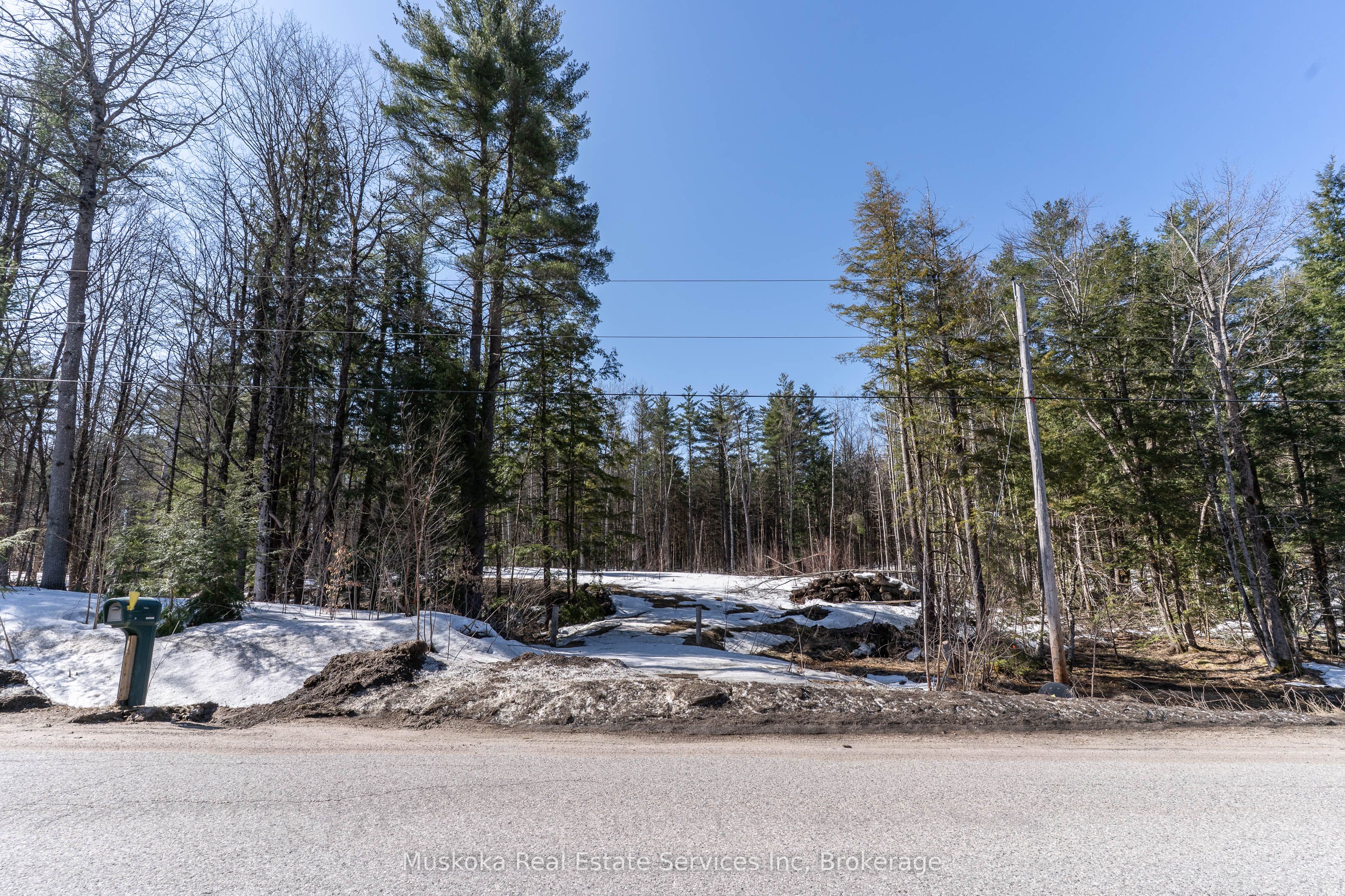 1023 Sparrow Lake Route Property Photo 2