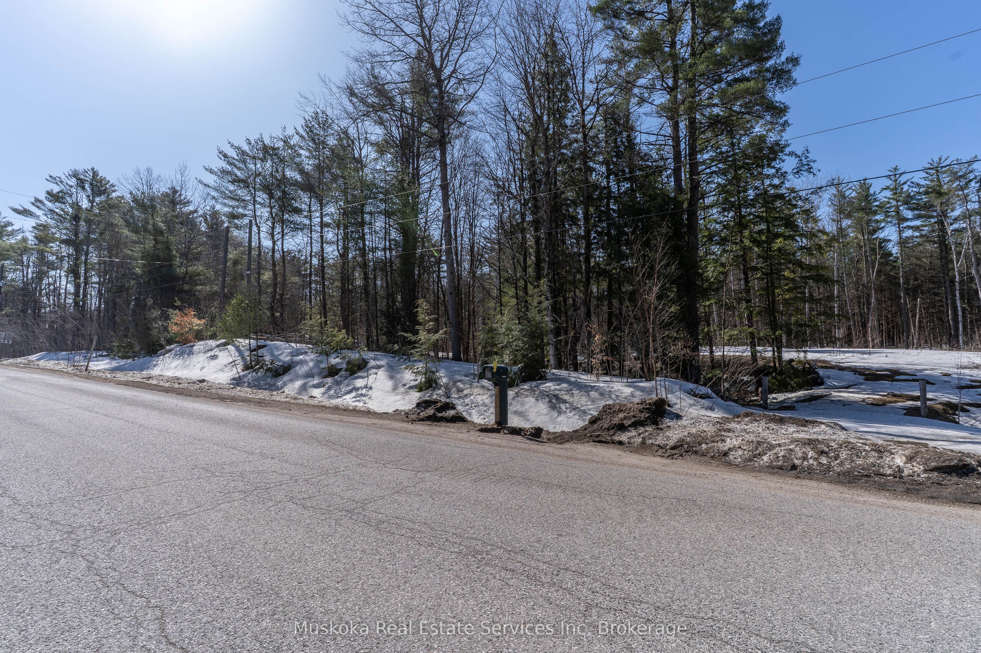 1023 Sparrow Lake Route Property Photo 3