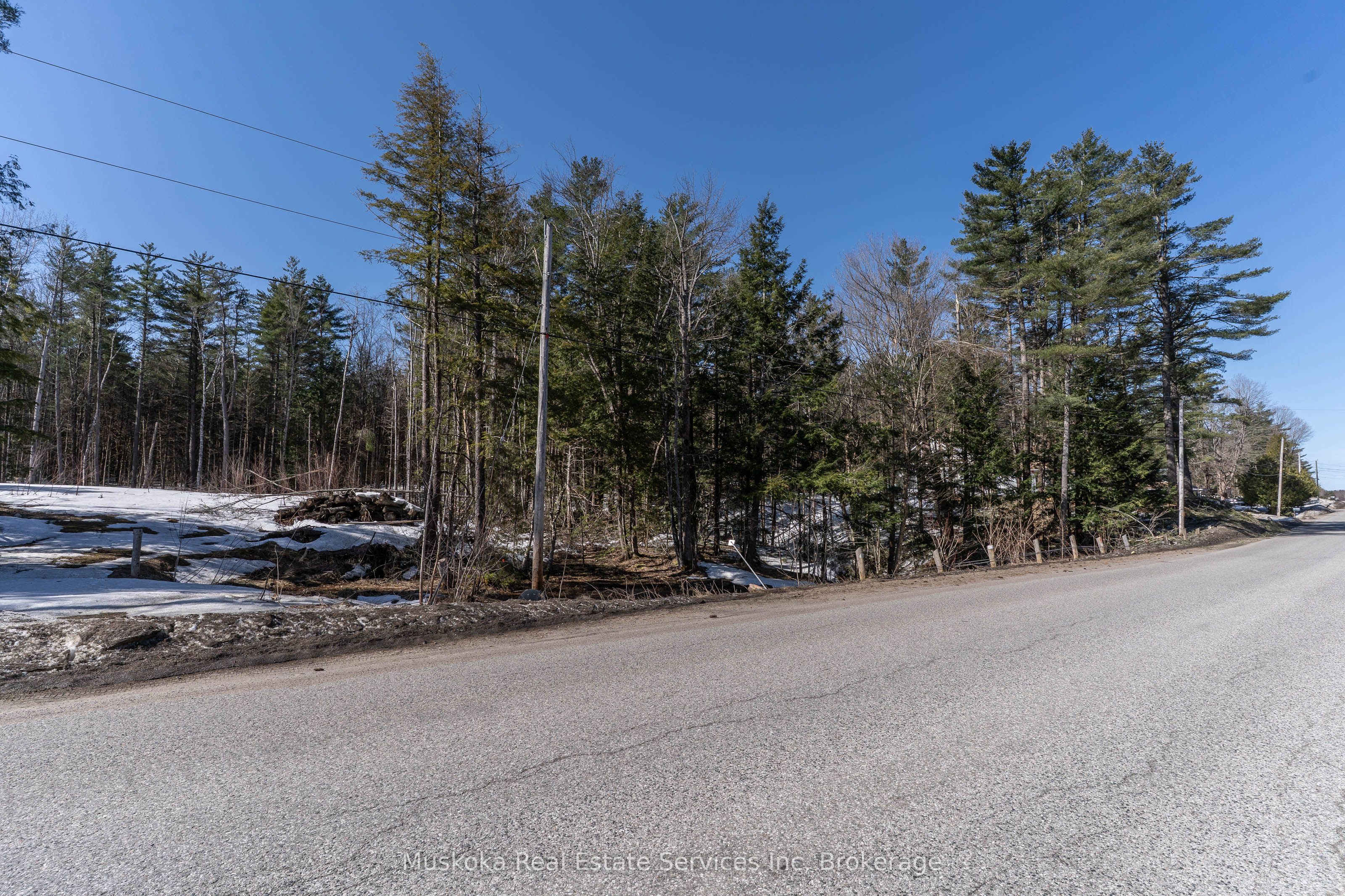 1023 Sparrow Lake Route Property Photo 4