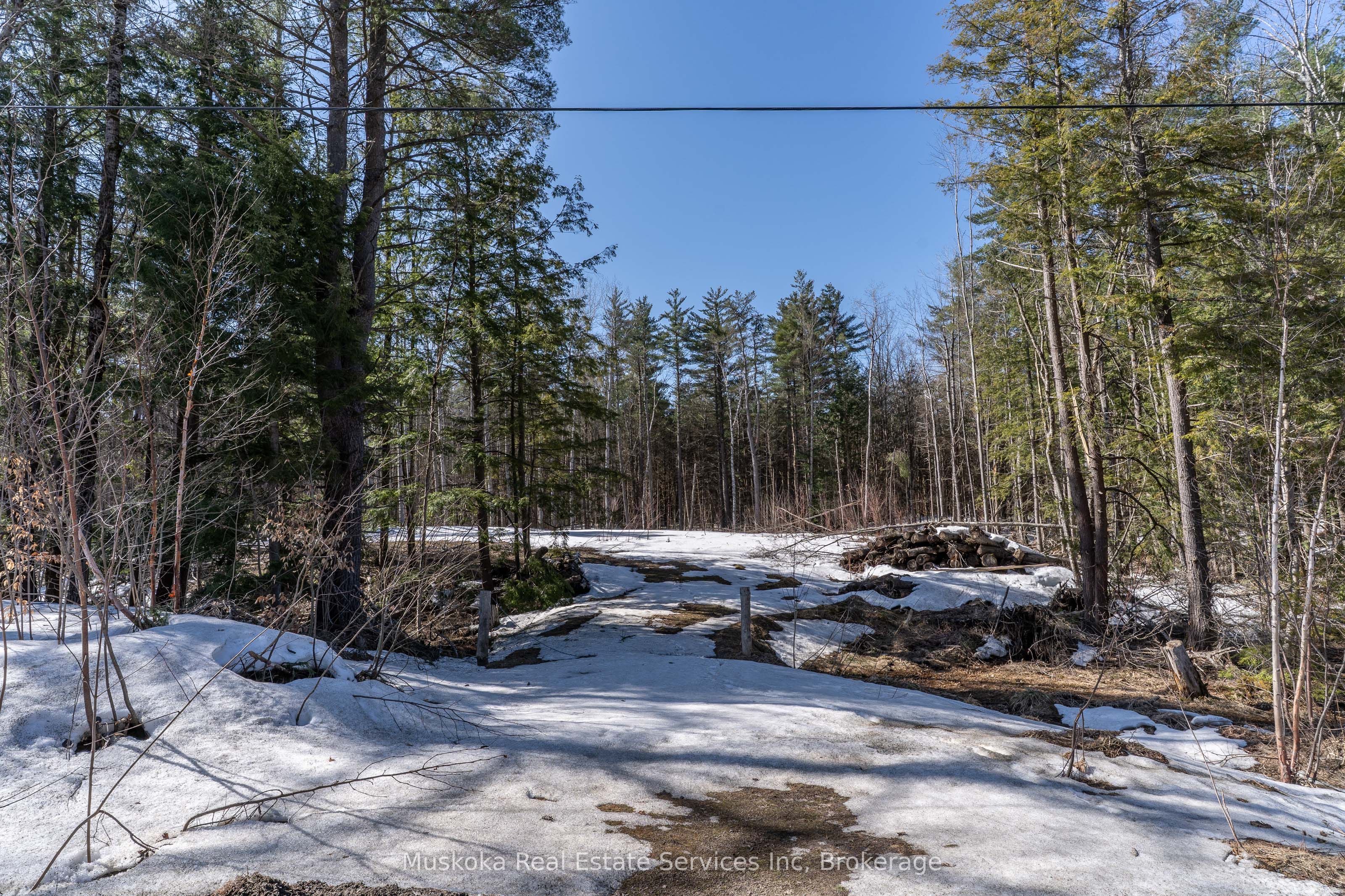 1023 Sparrow Lake Route Property Photo 5