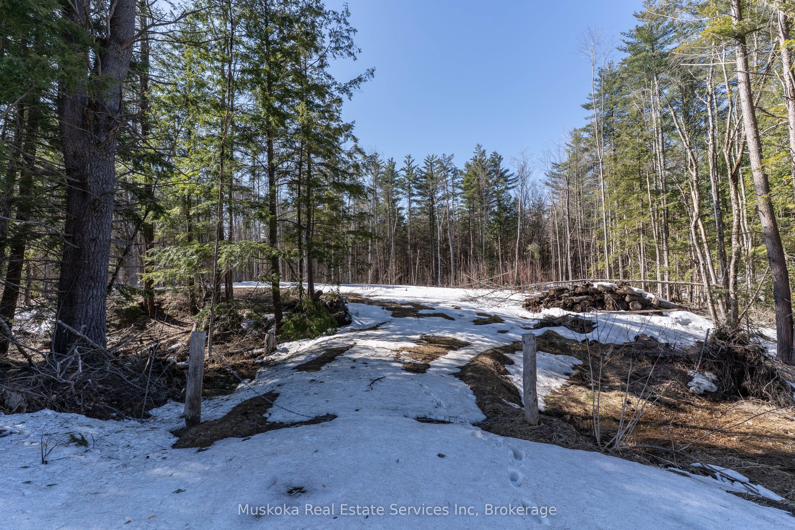 1023 Sparrow Lake Route Property Photo 6