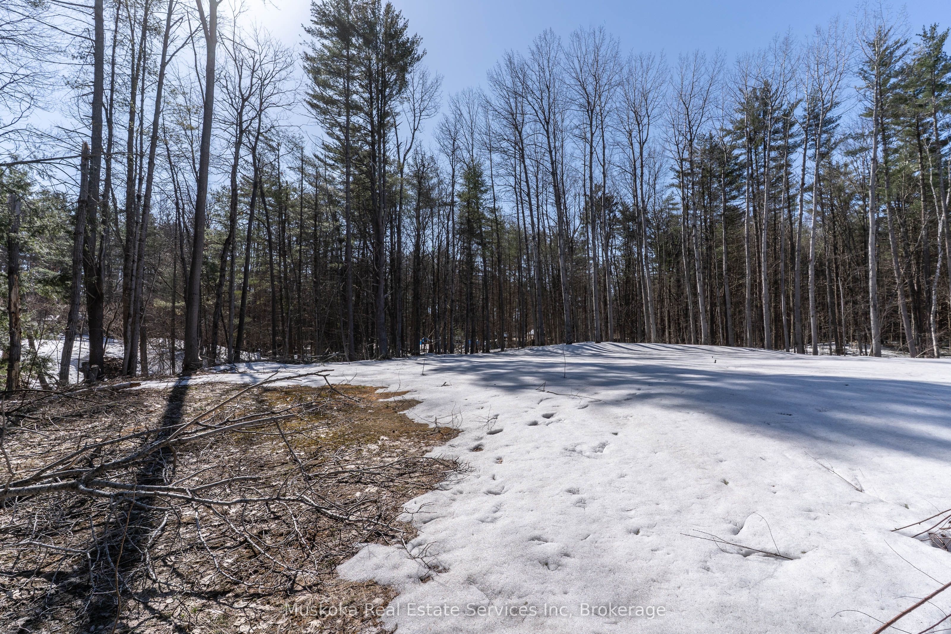 1023 Sparrow Lake Route Property Photo 7