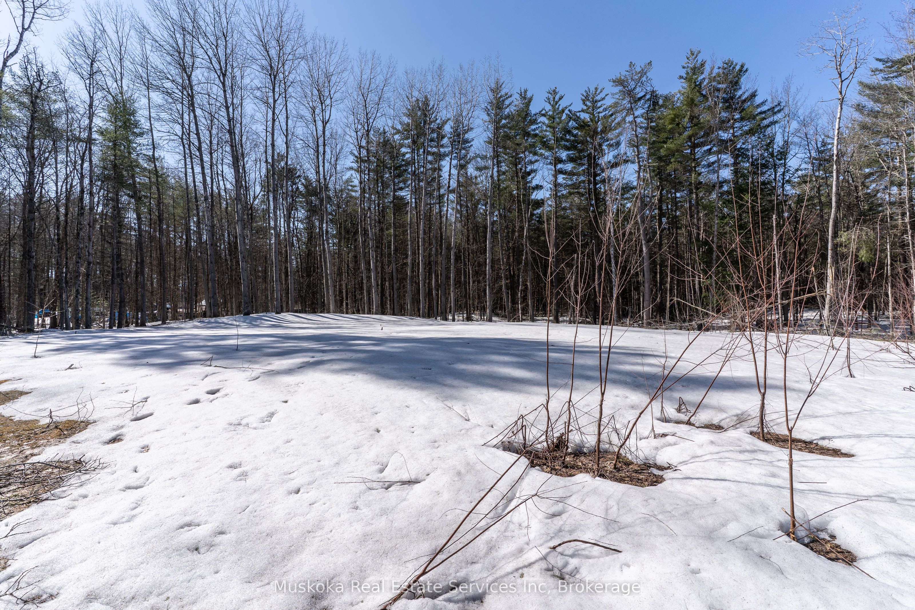 1023 Sparrow Lake Route Property Photo 8