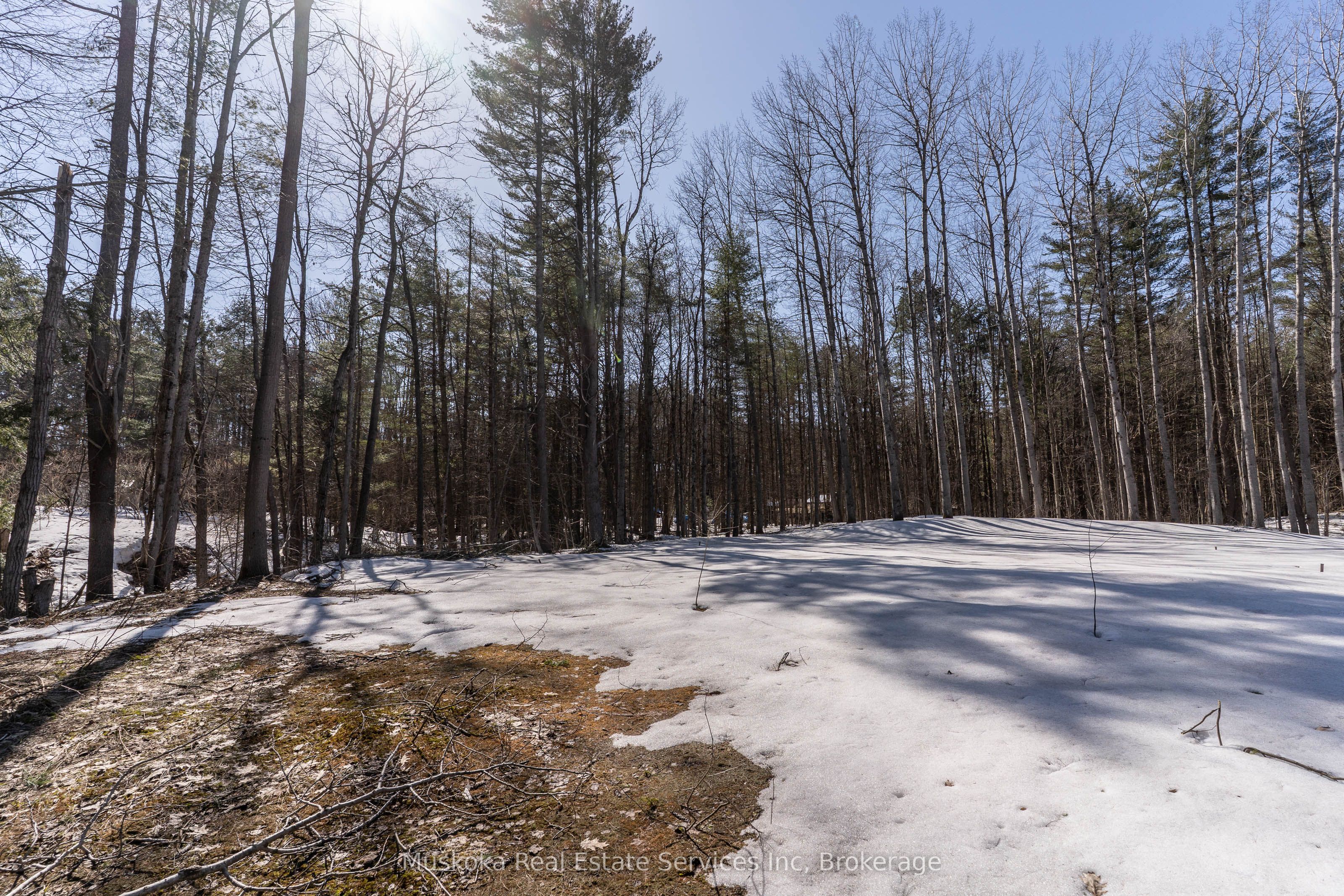 1023 Sparrow Lake Route Property Photo 10