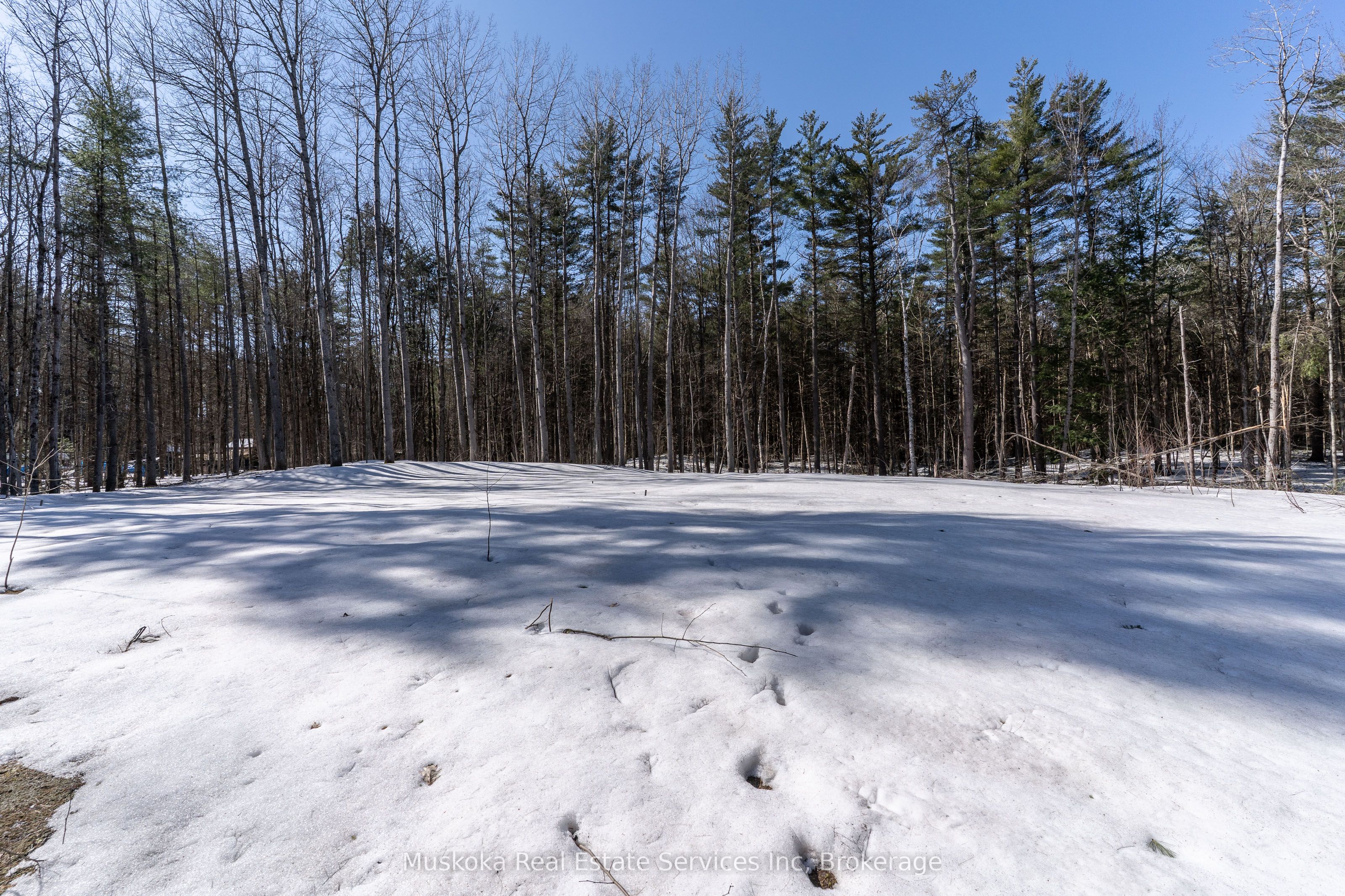 1023 Sparrow Lake Route Property Photo 11
