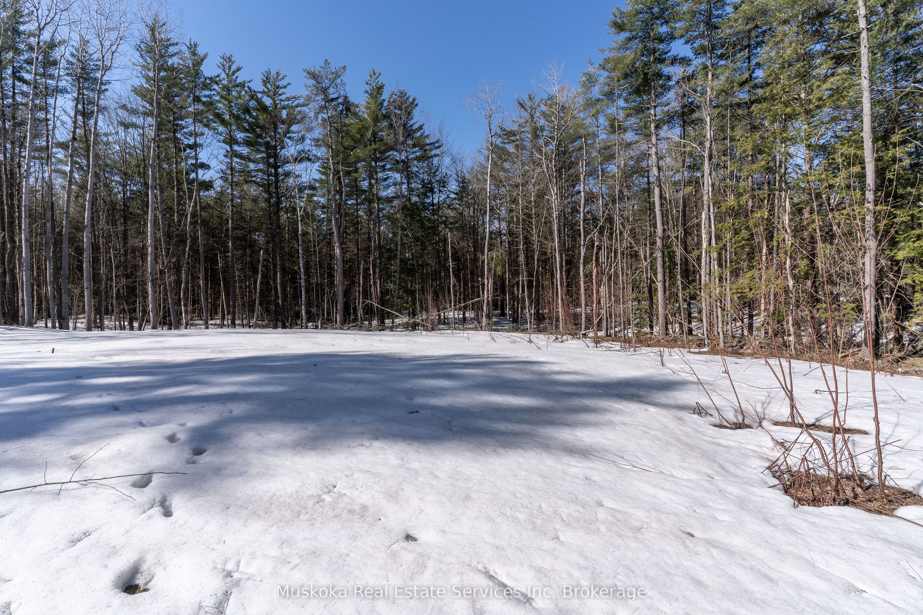 1023 Sparrow Lake Route Property Photo 12