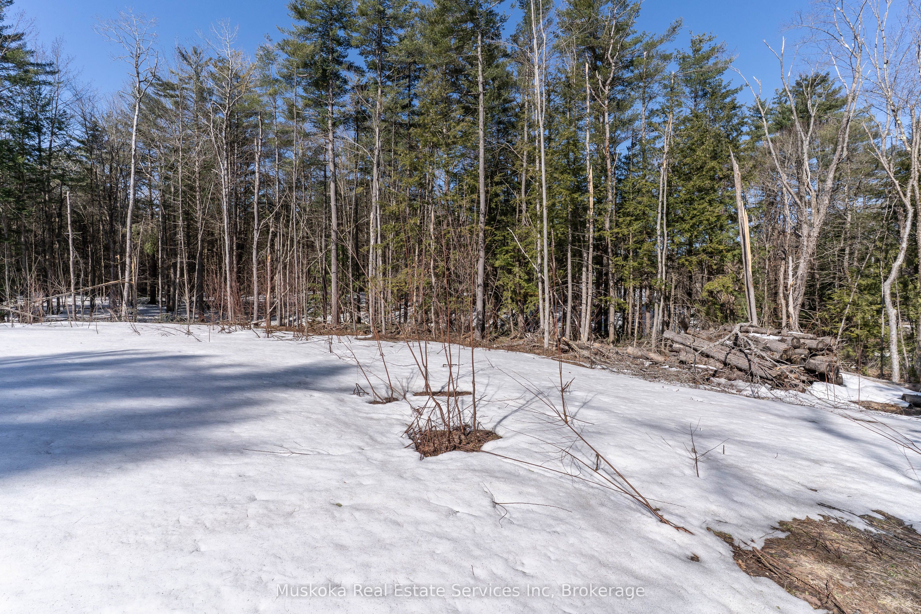 1023 Sparrow Lake Route Property Photo 13