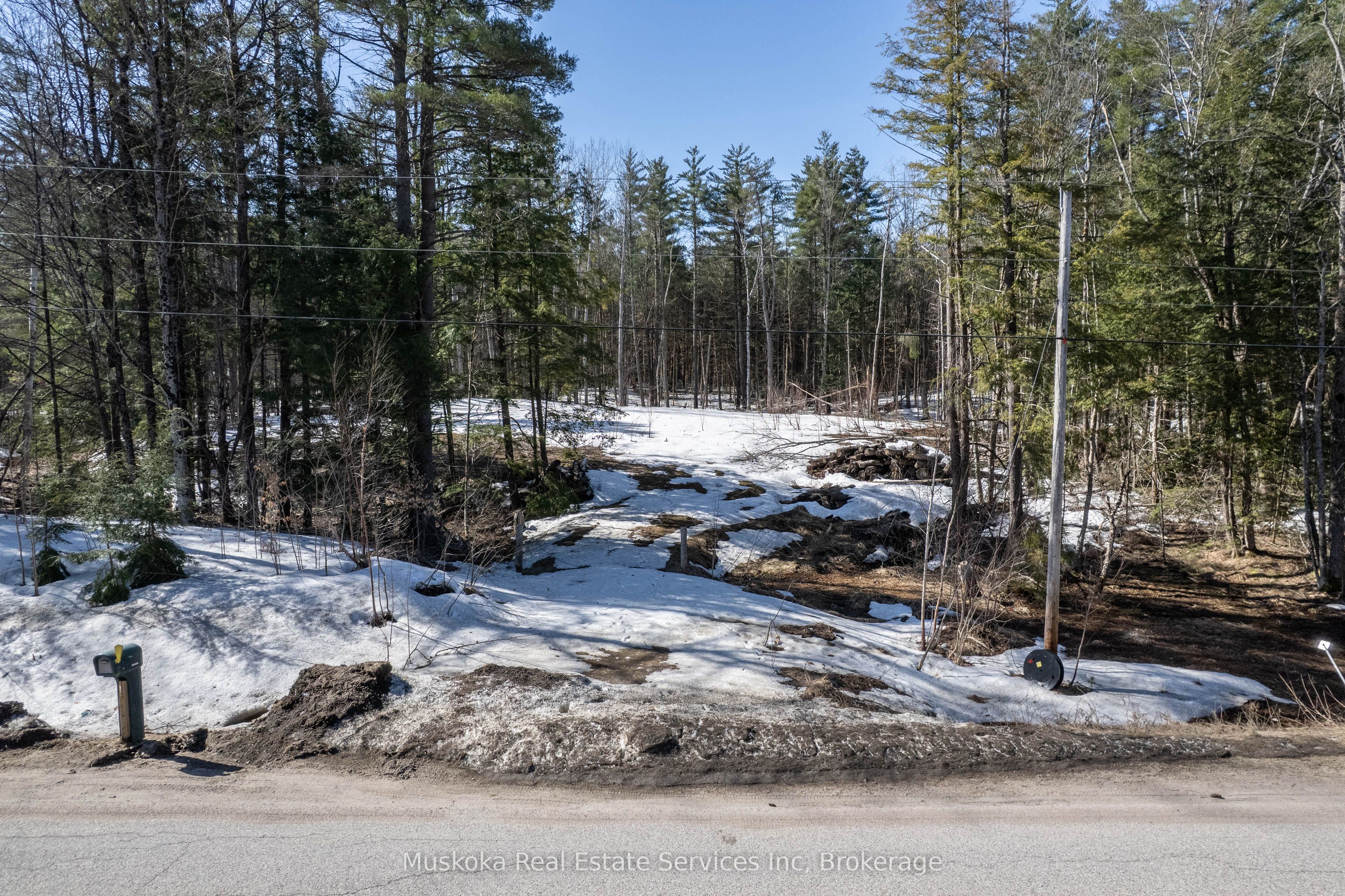 1023 Sparrow Lake Route Property Photo 14