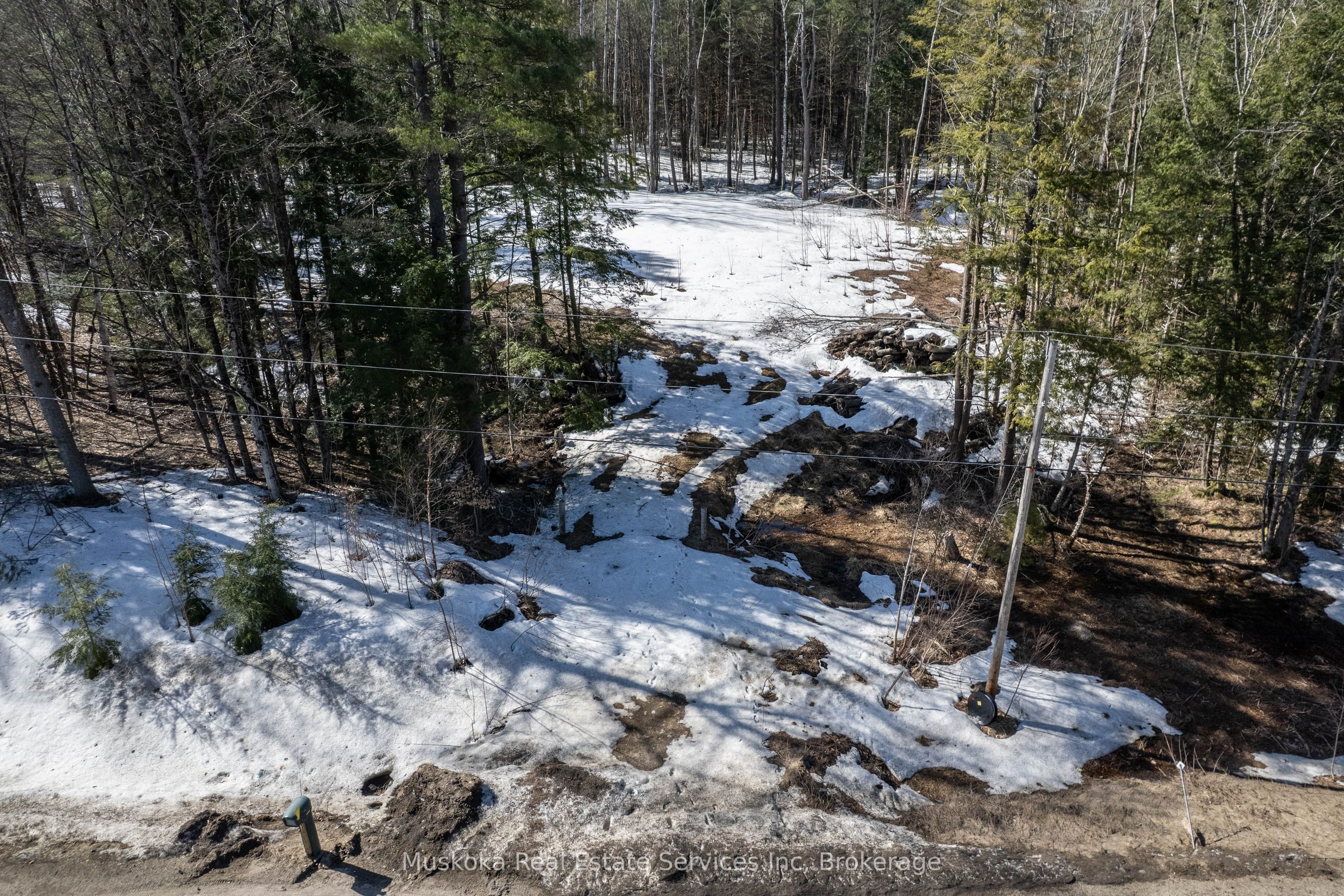 1023 Sparrow Lake Route Property Photo 15