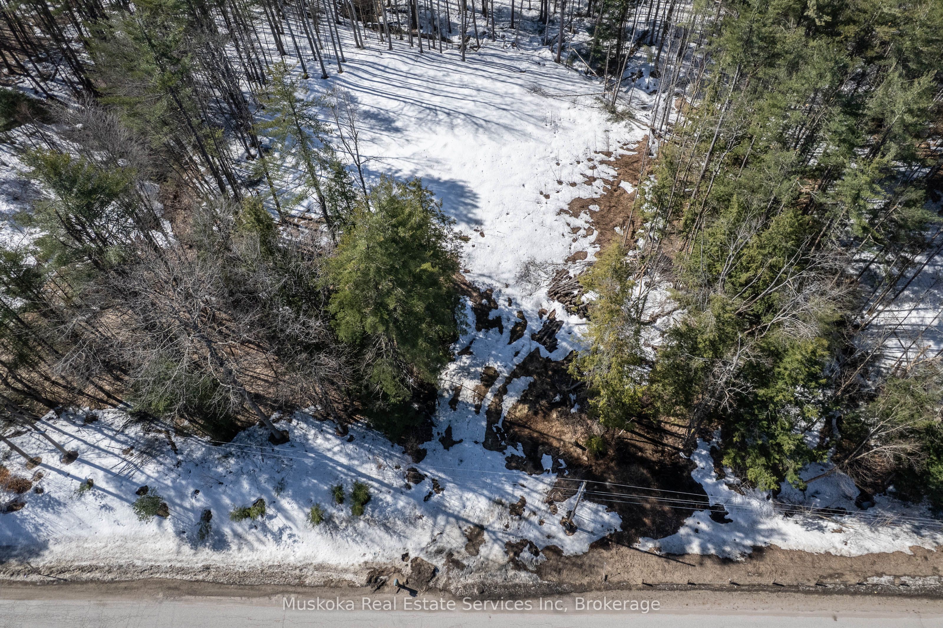 1023 Sparrow Lake Route Property Photo 16