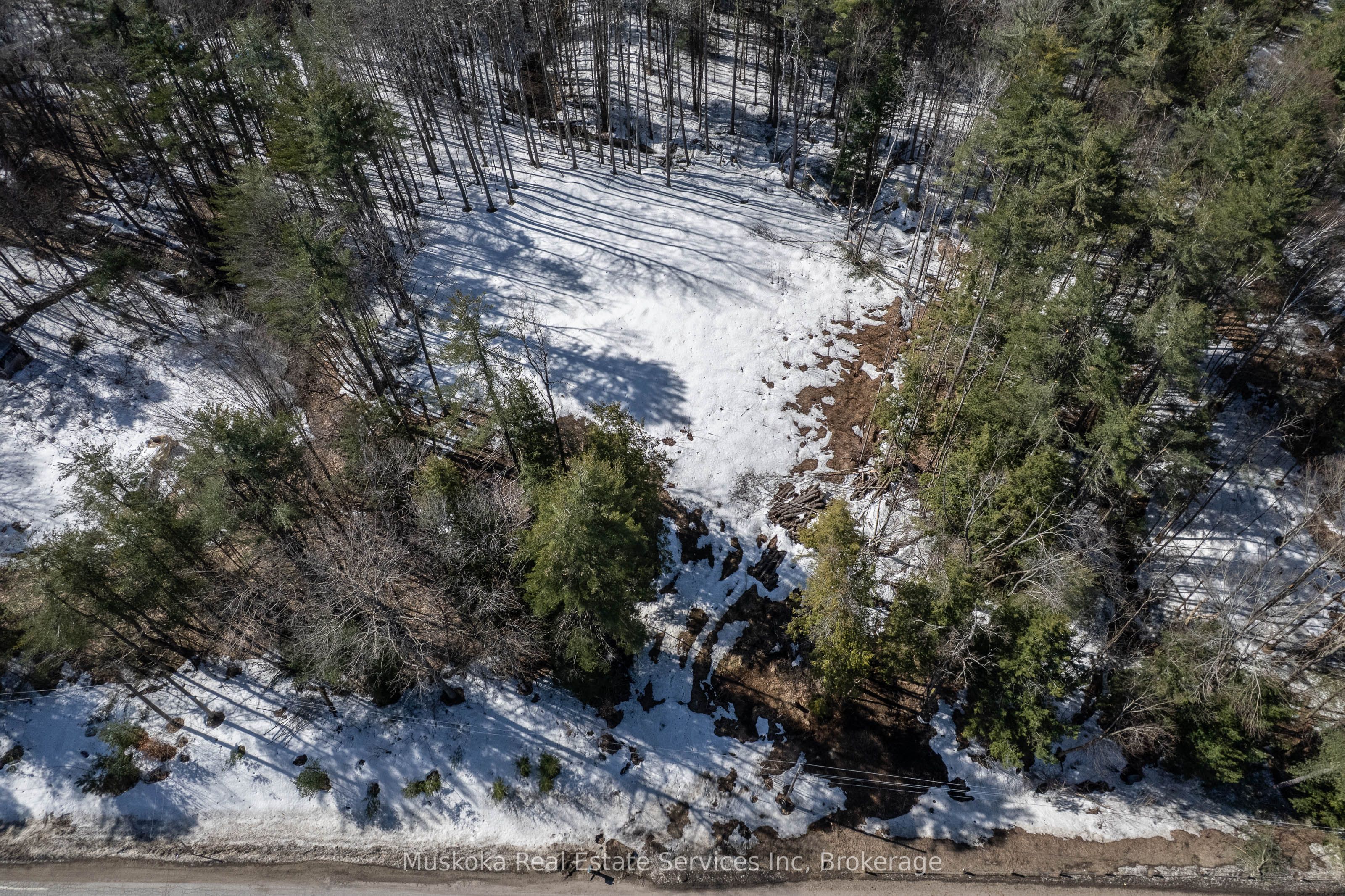 1023 Sparrow Lake Route Property Photo 17
