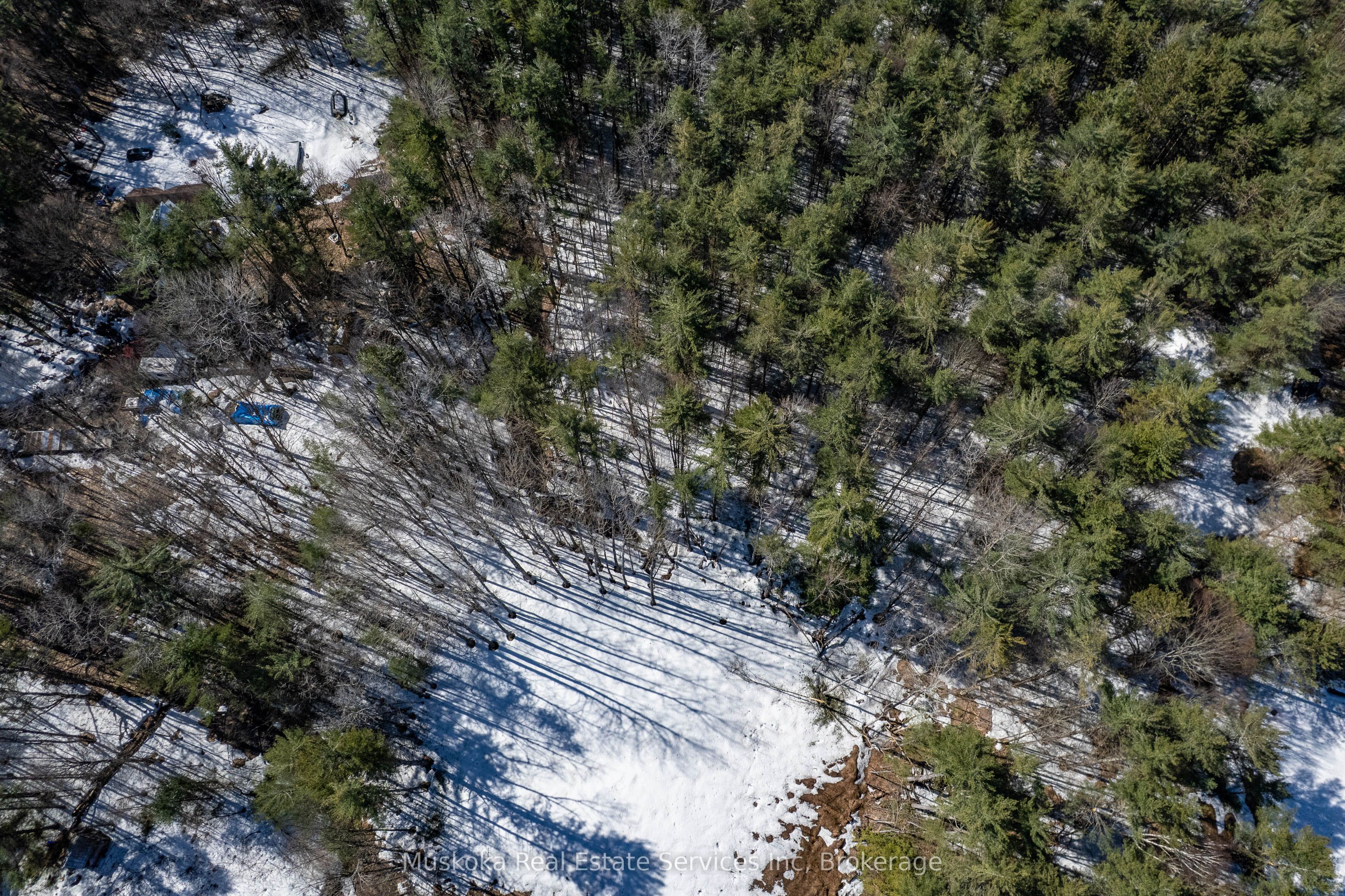 1023 Sparrow Lake Route Property Photo 23