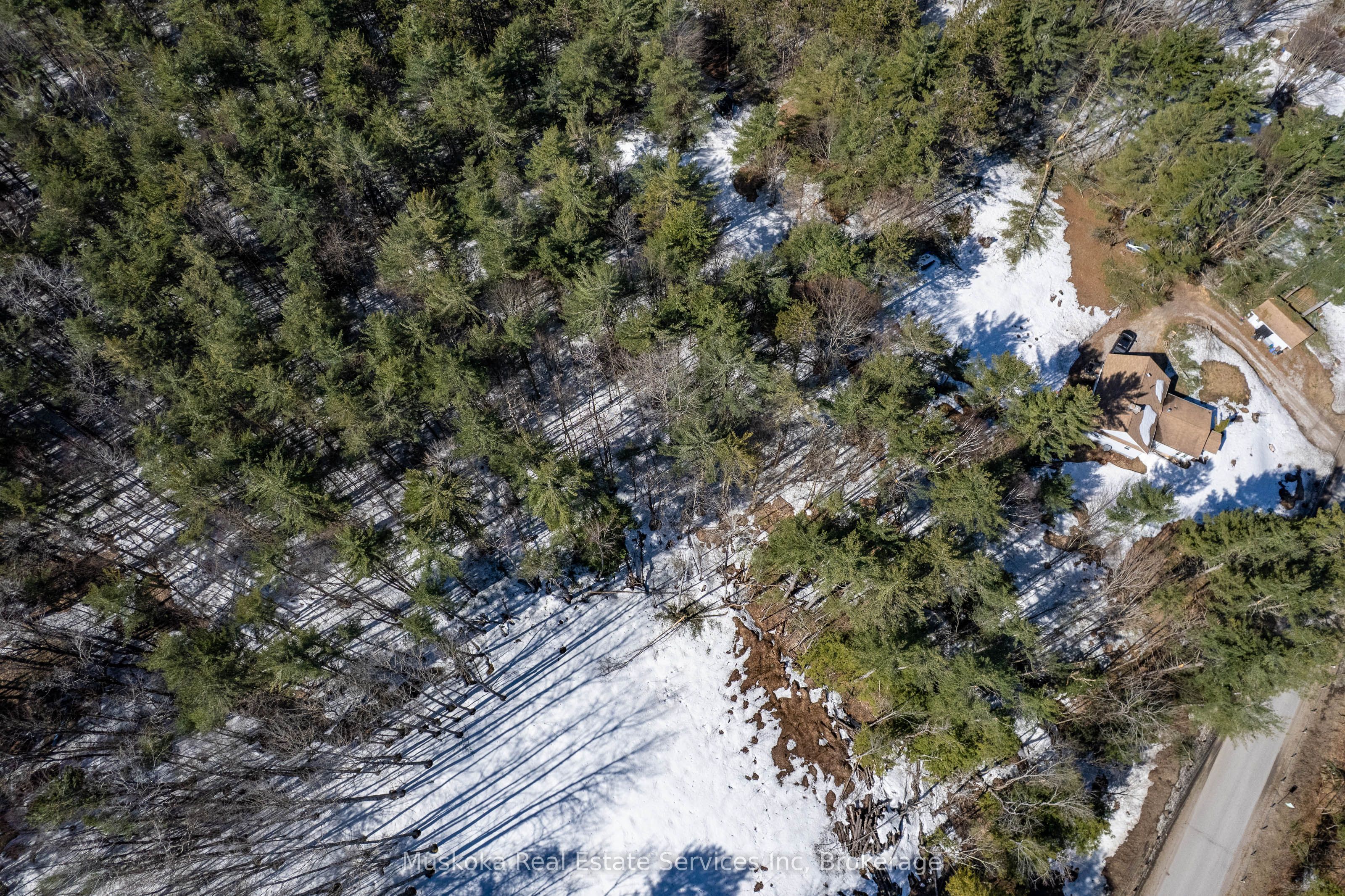 1023 Sparrow Lake Route Property Photo 25