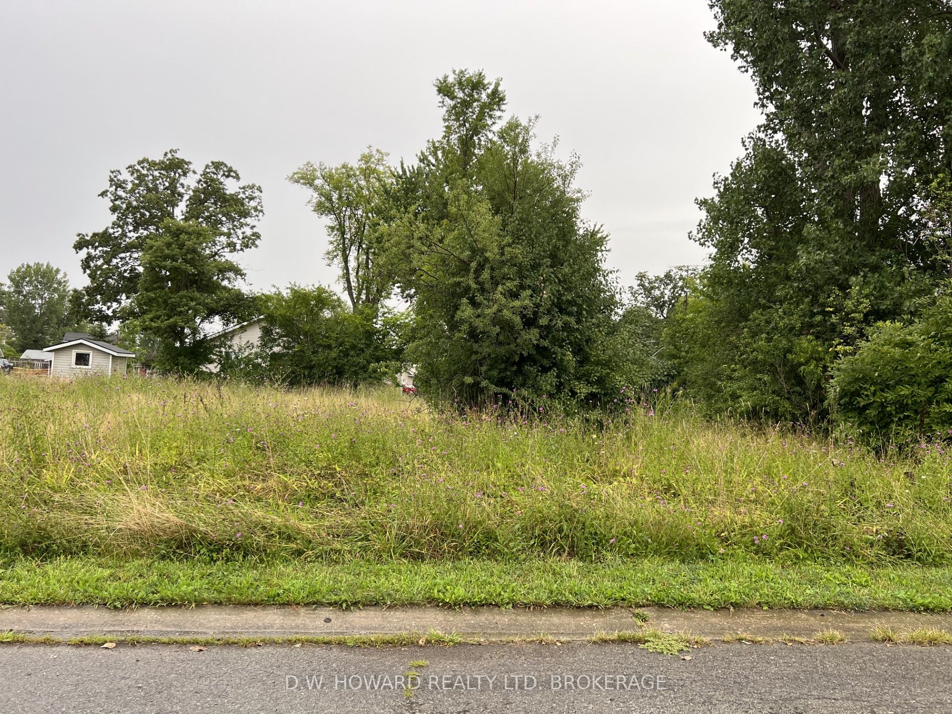 V/l Longtent Avenue Property Photo 1