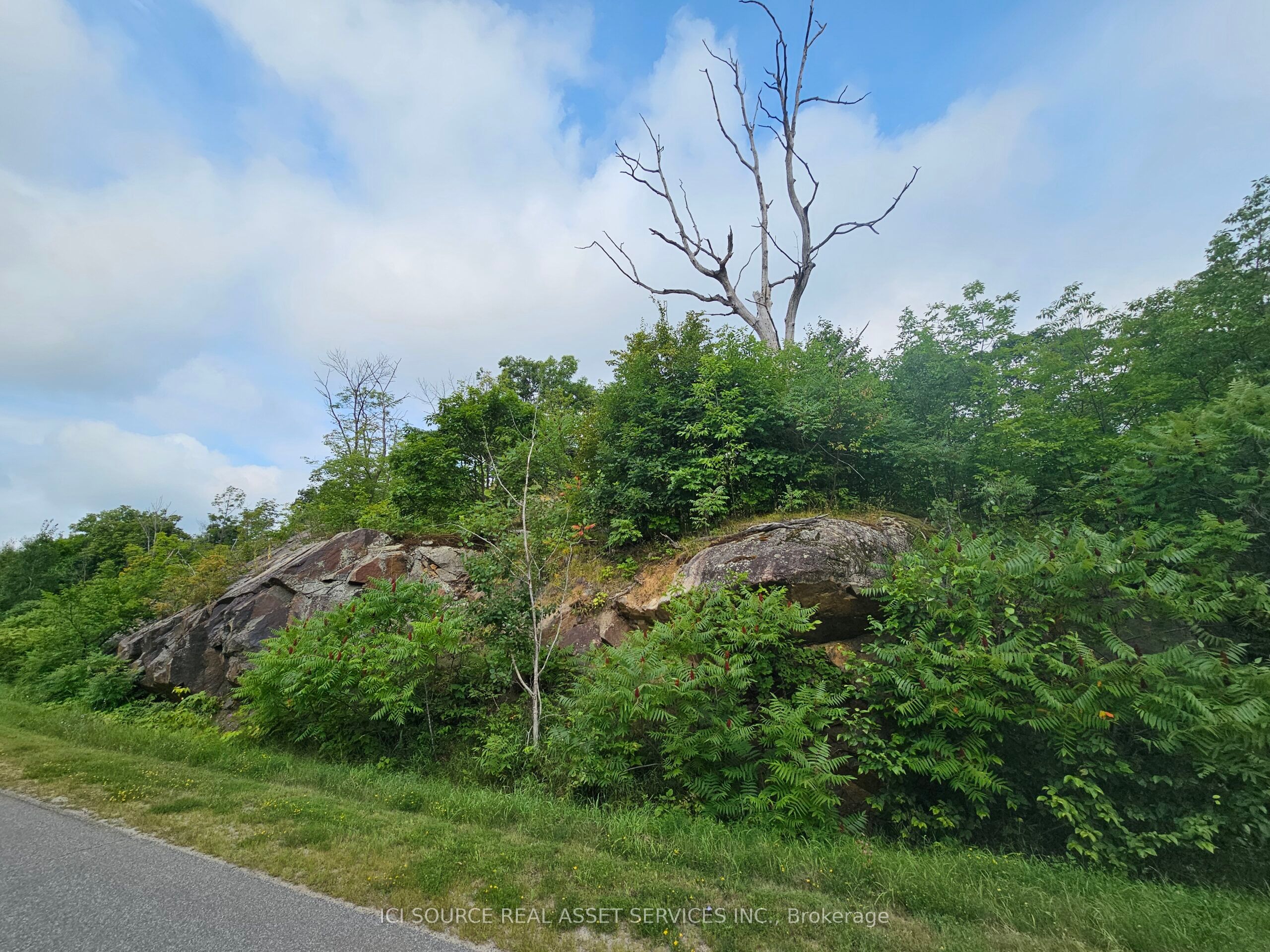 534 Oak Bluffs Road Property Photo 2