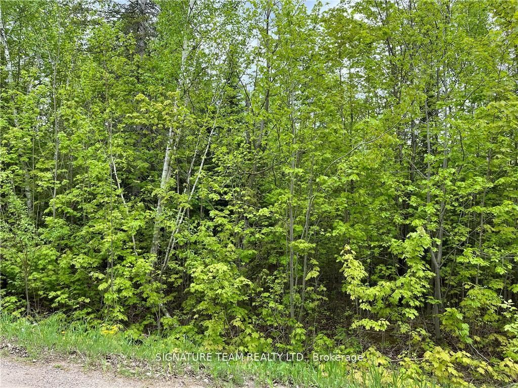 122 Western Drive Property Photo 5