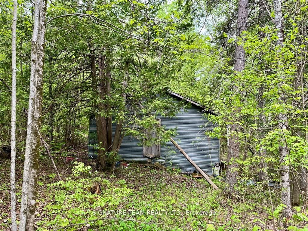 122 Western Drive Property Photo 19