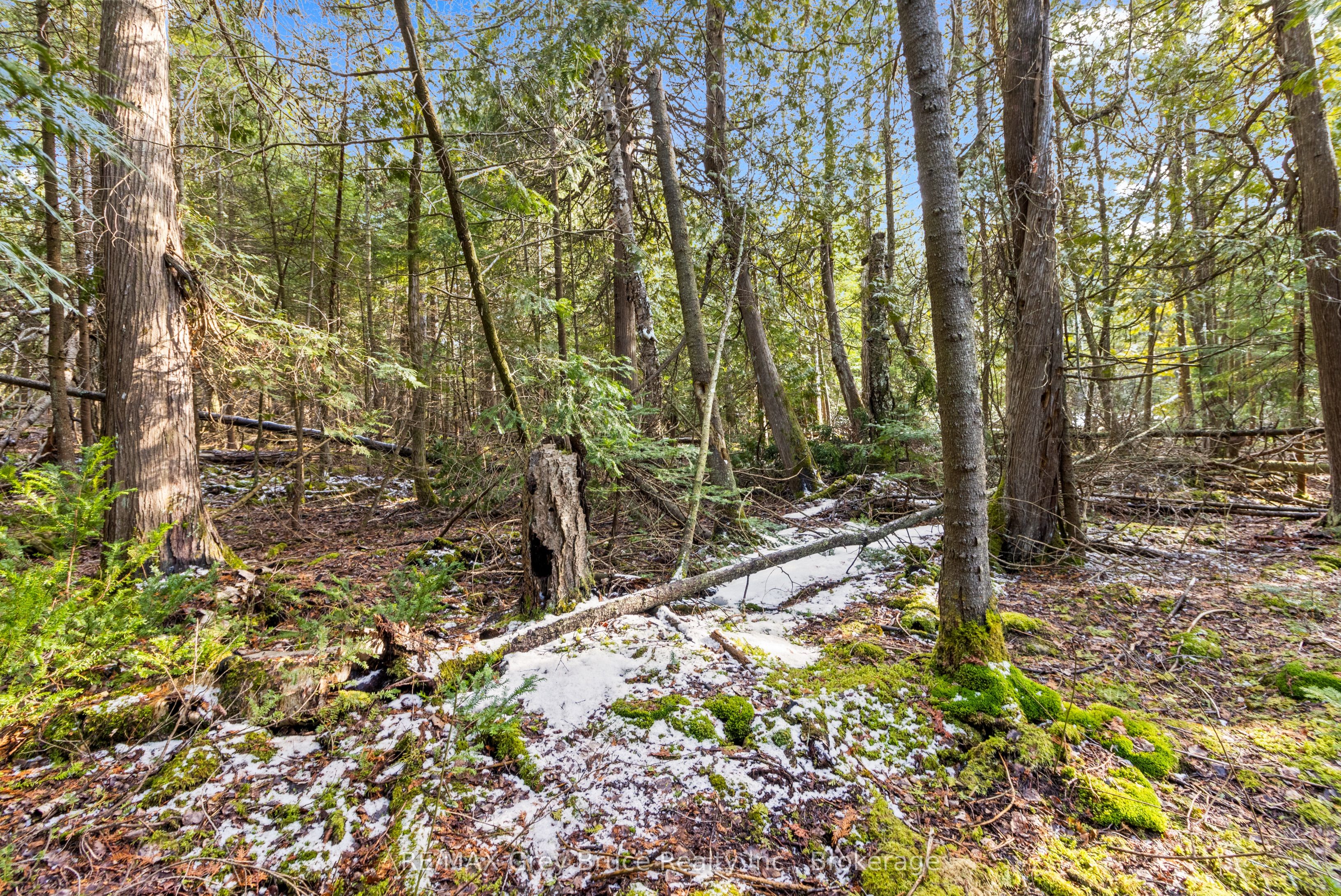 Lot 19 Big Tub Road Property Photo 13