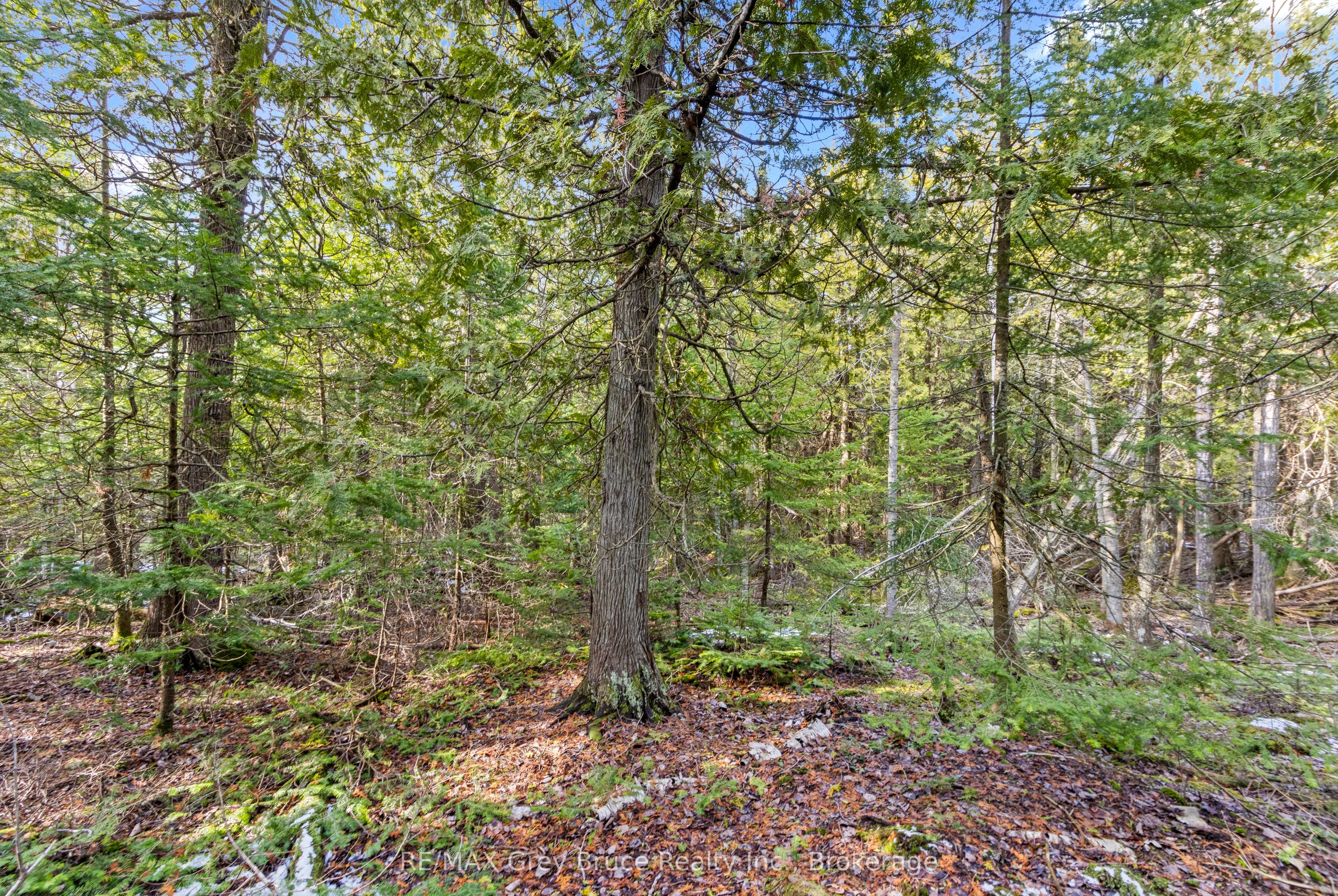 Lot 19 Big Tub Road Property Photo 14
