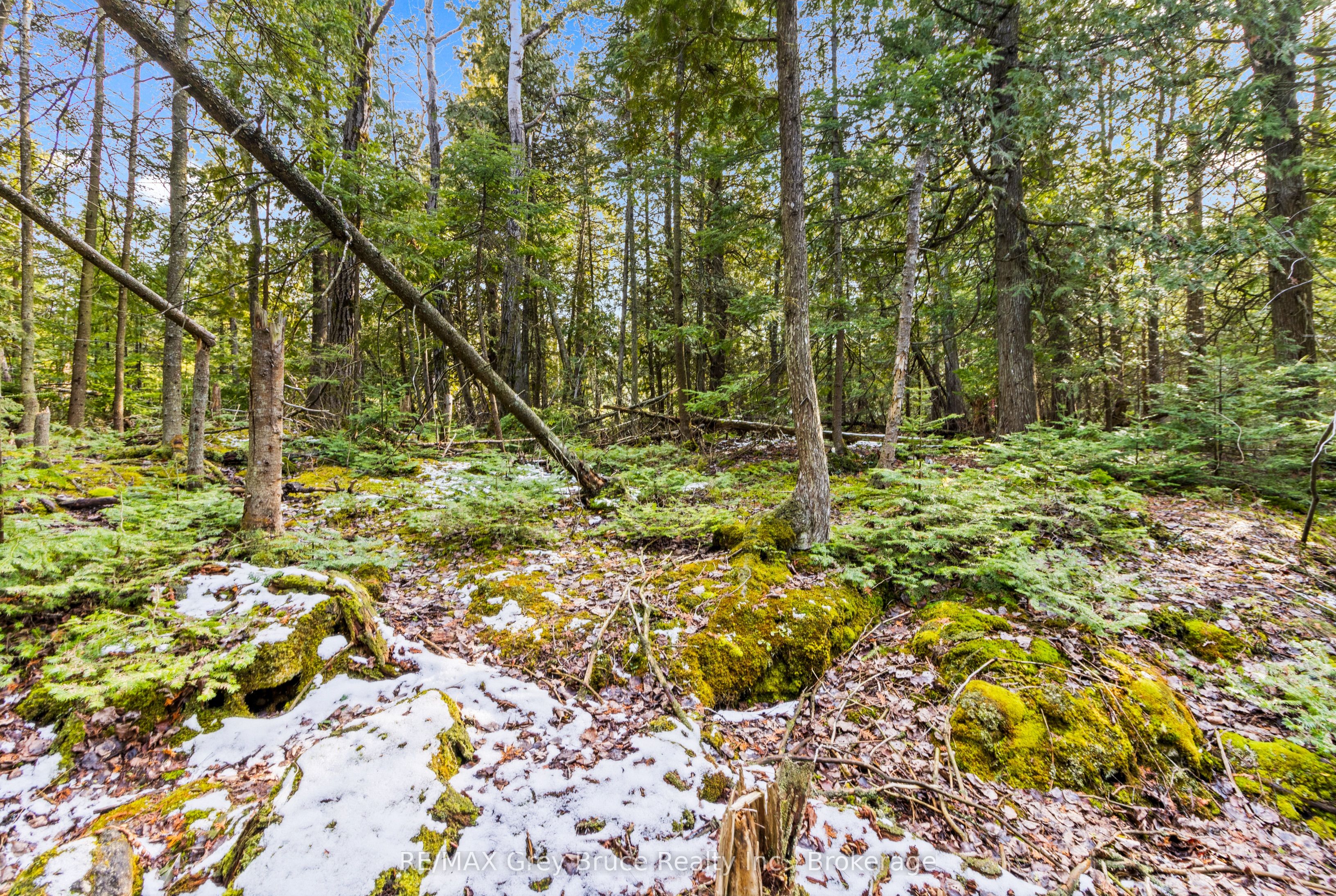 Lot 19 Big Tub Road Property Photo 15