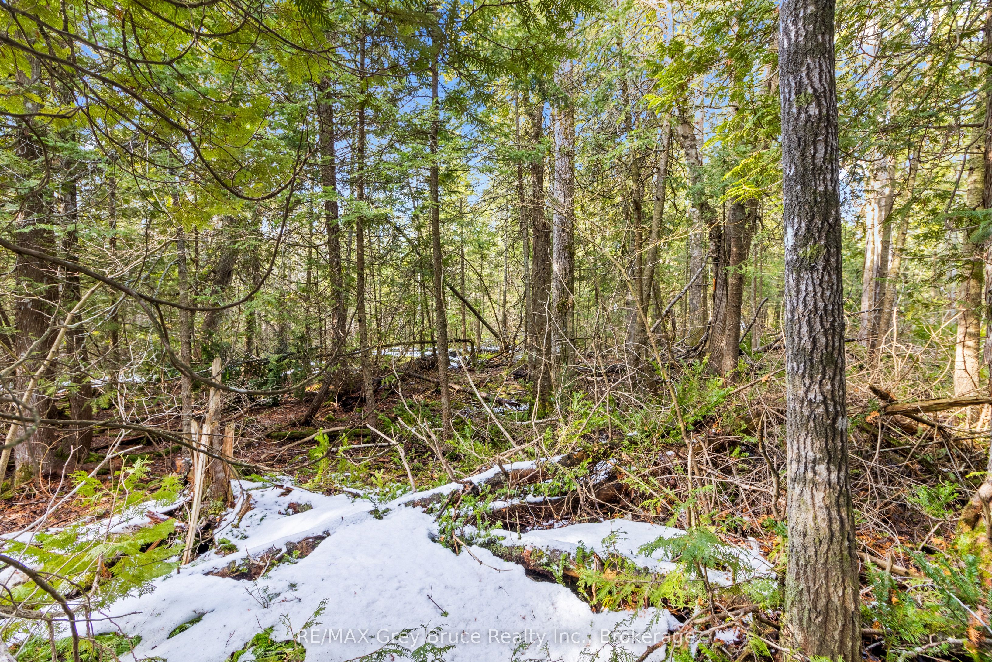 Lot 19 Big Tub Road Property Photo 16