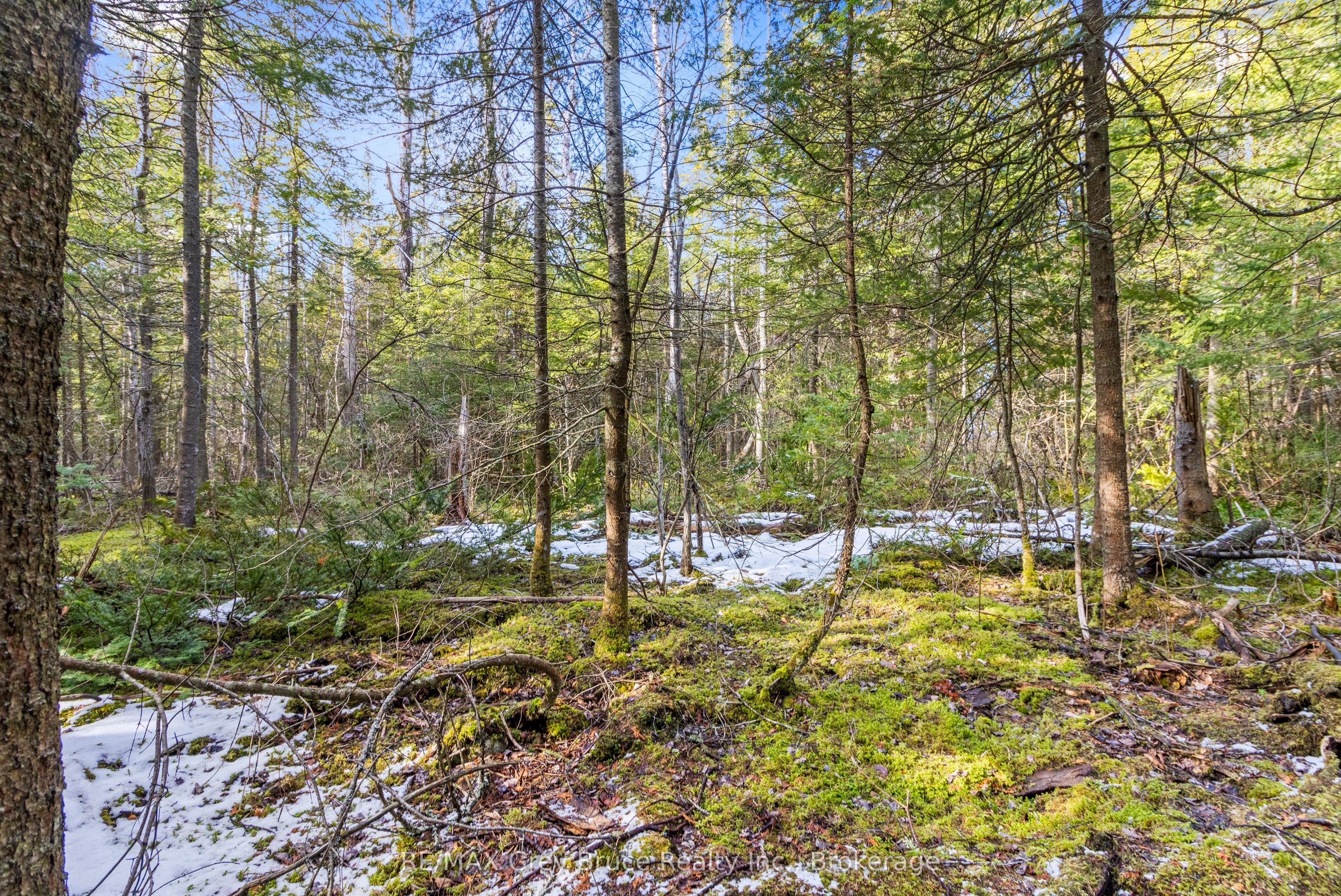 Lot 19 Big Tub Road Property Photo 17