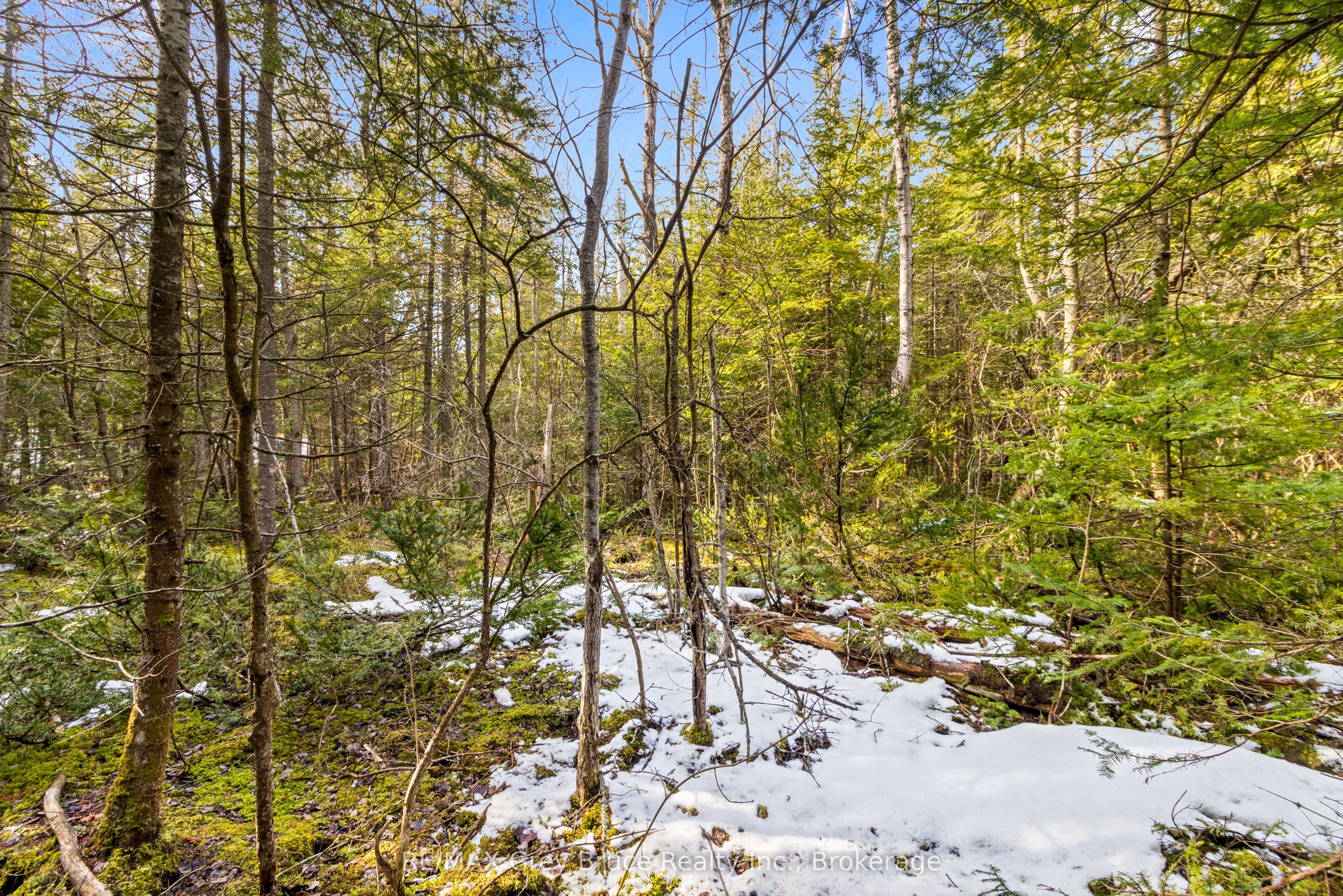 Lot 19 Big Tub Road Property Photo 18