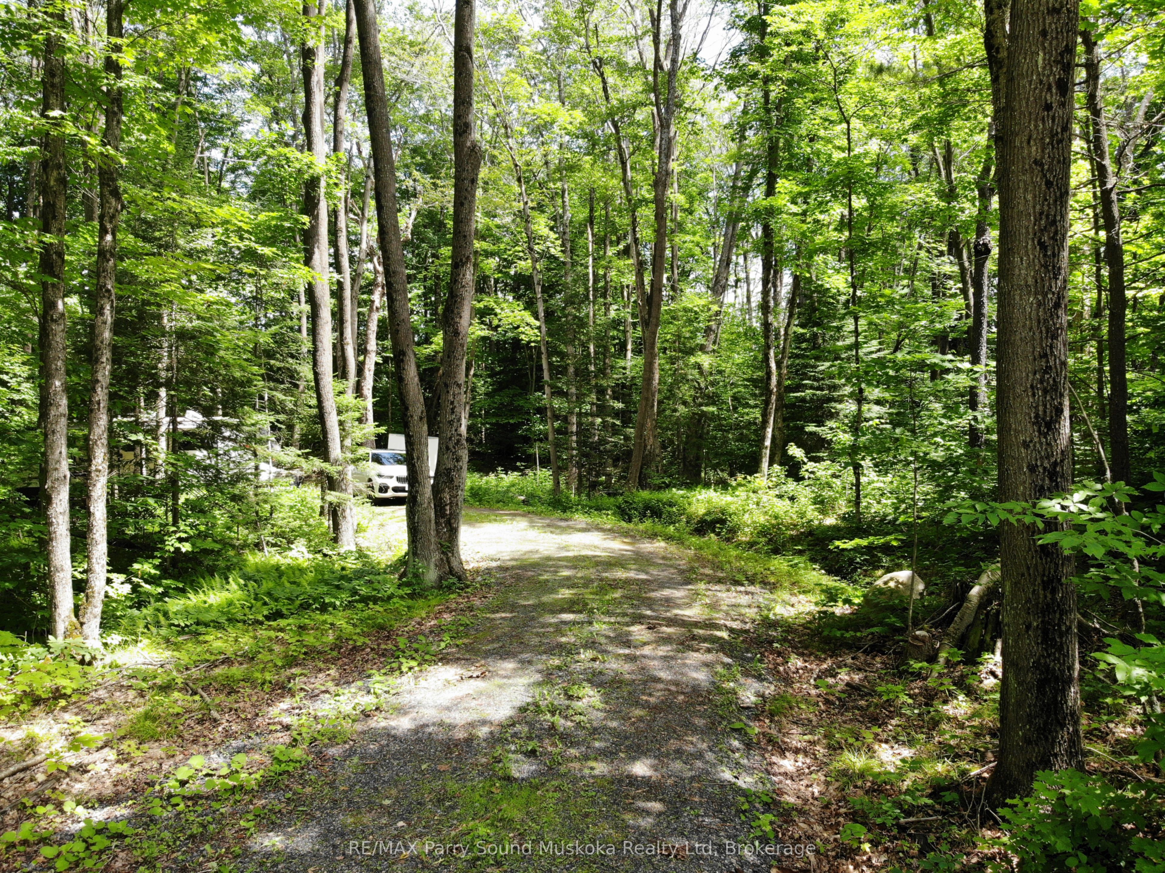 63 N Sandy Plains Rd Property Photo 3