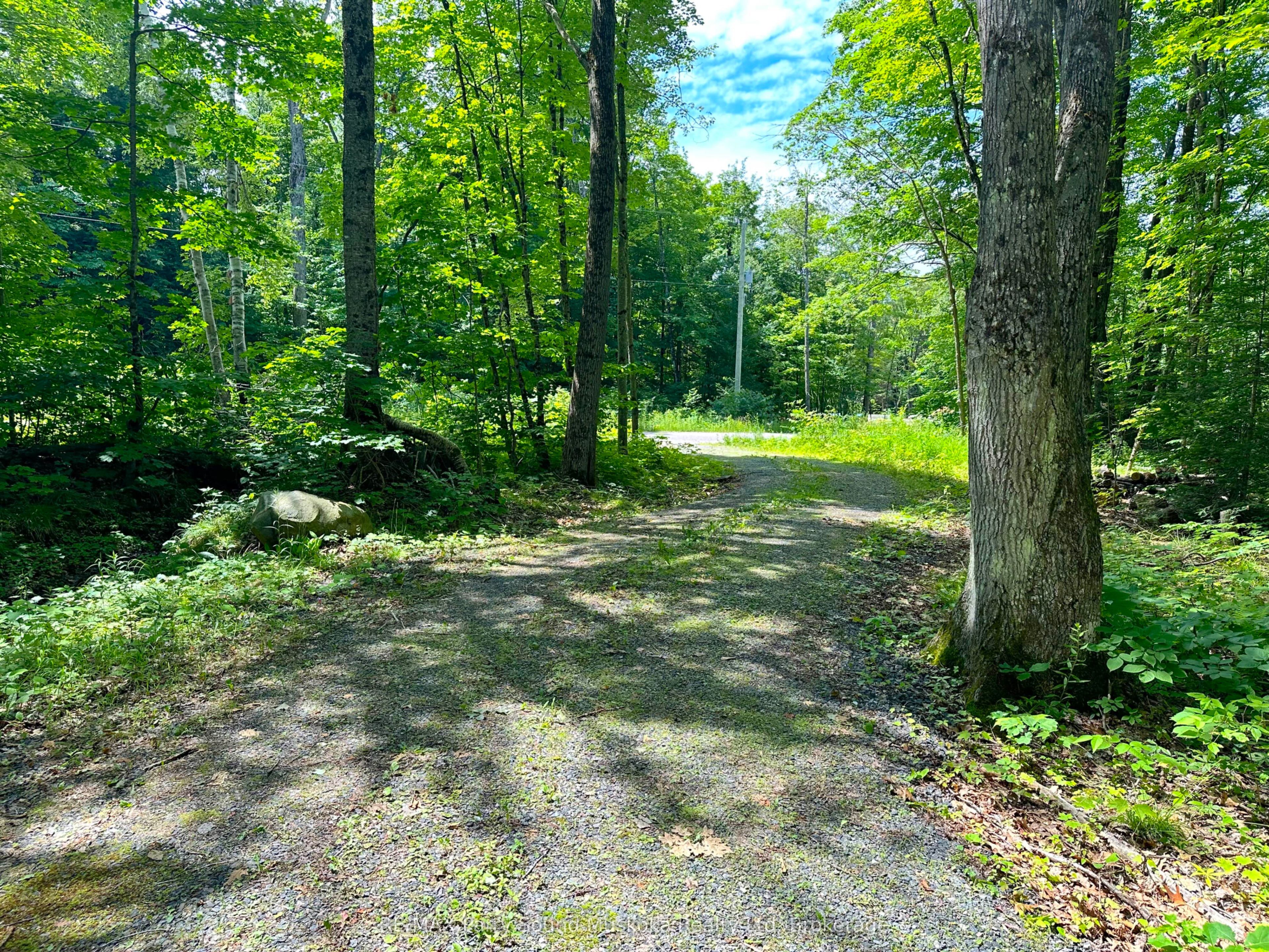 63 N Sandy Plains Rd Property Photo 6